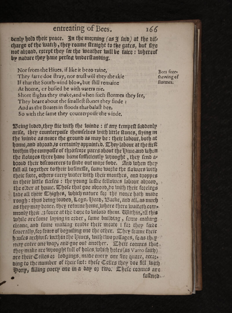 Be nip Ijoto their peace. 3« the moving (as % faiD) at the &ff* charge of the laatth, tbep roame ftraigfjt to the gates, but fipc not abroad, erceptthep fee tfjc toeatfjer toillfee faite; So&ereof Nor frbm theHiues, if like it betotaine/ They farredoe ftray, nor truft will they the skic If that the South-wind blow, but ftill rcmainc Bees fore- fhewing cf itormesv At home, cr bulled be with waters nie. Short flights they make,and when fuch ftormes they fee, They beare about the (mailed ftones they finde : Andas theBoatcsin floods that balaft bee, So with the fame they countcrpoife thc winde. 4 1 JMng ioBeo,tf;ep flic txutt) the fotnbe: ff anp fempeft fuBbenlp ' arife, tfjcp counterpoife tbemfelues truth little ftones, flptng t« the Irnttoe as neace tfjc grounB as map be: their labour,both at ljome,anD ab^oaiMs certamlpappomttD, Chep labour at tpefttft toittjm ttje compafte of th?&fco?e paces about the1£iue,ant> tufjen the flolojes th ere bane beenefufficientlp thought, thep feno a* btoao ttjcfr atfcauererstofmoe outmoje frooe. 0no tohen thep fall all together to their bufmefife, feme too:fce the flotuers Initl) their f«te, others carrp tenter teitlj their mouthes, ano o?oppcs in their little fleefes : the poung luftic fellolucs labour ab?oats * the elBer at home. UChofe that gee ab?caD,bc tuiti; their fojelegs laoc all their CbiglK0, tohieh nature ft# the nonce hath maoe rough: thus being loaoco. Legs, i^cao, Bathe, ano nil, as rnueb asthepmapbeare,tl;cp returnehome,luhere there tuaifeth com#. ■ monlp tEjtce ~7 feure at the tcoje to fcnloaa them, Muhin,all this Subtle are feme lapingin c?cer, feme bailDmg, feme making. . rleans, ano fonte making teatue their mcate : fc-2 they f&se - fcueraUp/o? feare of beguiling one the other. SThep frame their h safes archtmfe irutfjm tlje l£iues, tutrfjtloo paftages, fcas ttjep  map enter one Snap, «mo goe out another. SChcfr coamcs that, tljep mafee are fought foil cf hclcs,tahieh holcs(as Varro faith) are their Cedes o? loDgmgs.maDecncrp one frre quare, acco;* Bing to the number of their feet: thefe Cedes then ooc fill toitfj ^onp, fuling cuerp one in a bap o? ttoo; Ehefe cosines are