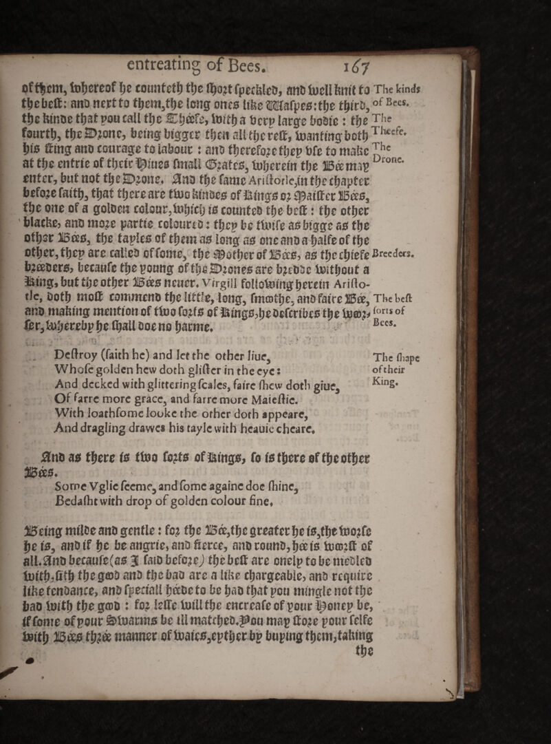 of them, toljereof he countettr ttje fl£)o?t fpedsleo, and tuelllmlt to The kinds thebett: and nertto them,the long ones tifce Wafpesitlje tyith,of Be,es- the htnoe that pou call tije 2£h®fe> forth a bcrp large bodie: the Tlte fourty, the2>?onc, being bigger then alUljcreff, foaming both™- hte Ging and courage to labour : and therefo?efhep bfe to make 3’hc at the enfrte of their ^iueo fmall <£»?afcs, foljereln the 315® map Dronc* enter, but not the£D?one. to tlje fame Anftorle,m the chapter before faith, that there are tine toes of fringe 0? spaiGet B®s, the one of a golden colour, folpcb to counted tlje bcG: the other blache, and mo?e partte colourco: ffjcp be tfoife as biggc as tlje other Bees, tlje taples of tremas long as oneandafjalfeofthe other, ttjep are called of feme, the pother of B®s, as fl;e cfnefe Breeders. b?®ders, becaufe the poung of tlje 2D?ones are b?cddc Without a frtng, but the otljer B®s ncucr, virgin follofomg herein Arifto- tJc, both moG commend the little, long, fmartlje, and fatre B®, TKcbcft and making mention of tfoo fo?fs offrlngs,he oefcrlbcs the fo©?* (oris of Gr,foberebphethalldoen0harme, Bec5* <r ' S' * r > . V' • • ■ . r - » • » «- f • ■■■.! ■ * *■ v * • r* ’' , ‘ ■ *• Deftroy (faith he) and let the other Hue, The (Lape Whofcgolden hew doth gliftcr in the eye: oftheir And decked with glittering (cales, fairc fhew doth giue. King. Of farre more grace, and farre more Maieftic. With loatbfomelooke the other doth appeare, And dragling drawes his tayle with heauic cheare, '■ » * ; * ' » •!> . ' • * • k fc to as there is tfoo fo?ts offrlngs, fo is there of the other B®0, Some Vglie leeme, andfome againe doe fliinc, Bedafhtwith drop of golden colour fine. Being milceand gentle: fc? the B®,the greater he is,the foo?fe he Is, and If he be angrie, and fierce, and round, h® Is foonG of all.andbecaufe(as3 faidbefc?ej thebeG are onelp to be medico fortieth the g®b and the baa are a lilie chargeable, and require like tendance, and fpeclall hade to be had that pou mingle not the bad folth the g®D 1 fo? IrHe fulllthe encreafe of pour |joncp be, If fame of pour §5foarins be ill matched.^ou map Go?e pour felfe forth B®s th?a manner of toaics,epther bp buping them, taking the 9