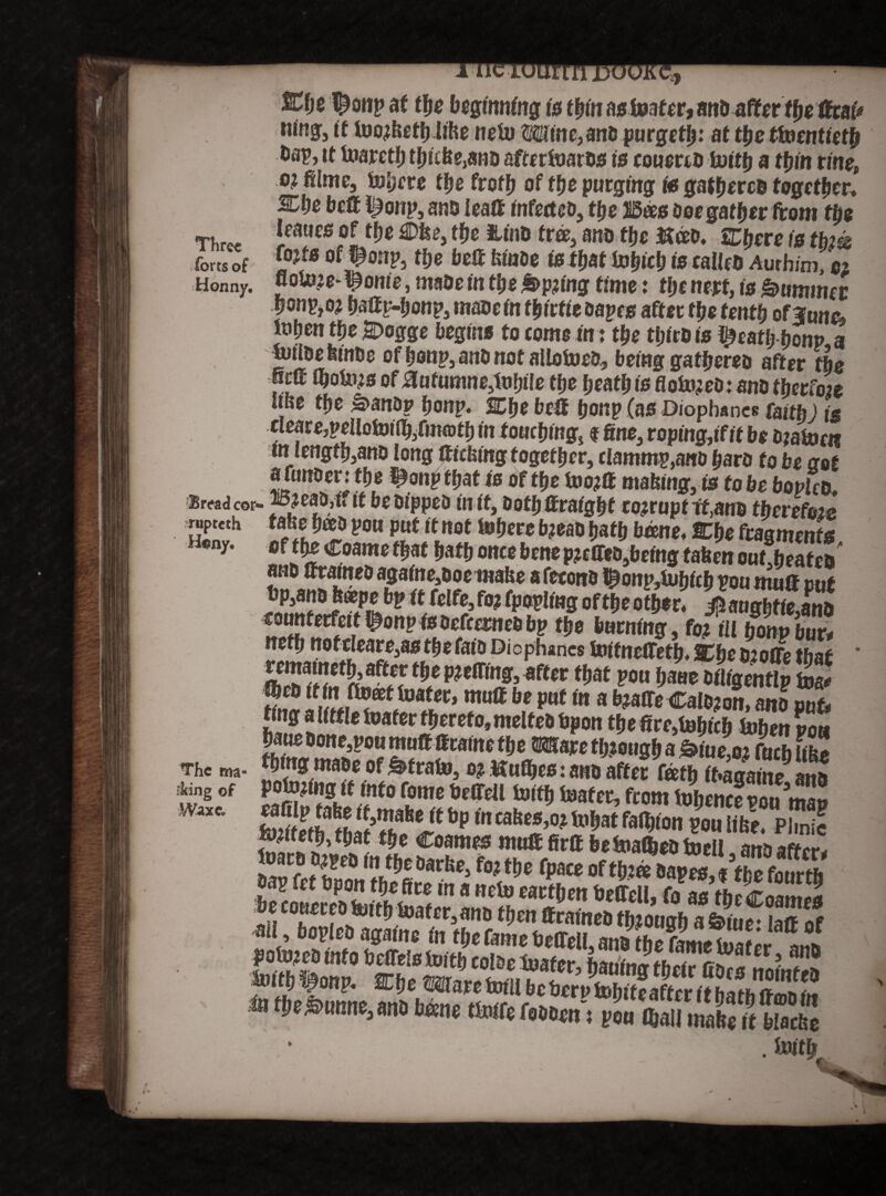 Three forts of Honny. Cfjg at the beginning is thin as footer, mib after the StaU King, tt loo^feetljiihe nefo Wim,ant> purget^: at the twentieth tiap, tt foareth thicfec,aiiD afterfoarbs is couerib tuttfj a thin rine, 01 ®n*«, fobere tfje froth of the purging is gntfjercD together» 3Ct)e beS l^oiip, anb Icaft infecteo, the 25&s boegather from the leaves of the £>fei>, the IUnD tree, ano the Uceb» Sphere is tbm fotfs of $onp, the bed feinbe is that fohich is calico Authim, e* flolt>,ic- ^onie, mabe in the &>p?ing time: the nett, is Summer fjonpjO? hatlv-honp, mace in thiefie tapes after the tenth obtine* inhen the®ogge begins to come in: the thitois $eatljhonp a ' Jnloe feinbe of honp, ano not ailofoeb, being gathereo after the ms ihokus of aufumne.tofjiie the heathis Hokwtanotherfae «fee the £>anbp honp. %he bell fjonp (as Diophanes faith) jS tleare,pellotoi(hiCmcDth in touching* $ fine, roping,if it be bjabocn in lengthens long ftiefeing together, clammp,anb hard to be aot afunoer: the ton? that is of the foo?ff mafeing, is to be boplco. Bread cor- p?ea0,if it be dipped in it, bothSraight corrupt ft,ano therefore rupteth tabs heet) pon put it not Inhere b?eao hath bane, Che fragments ®ny. of the Coame that hath once bene pjctTeOjbeing fafeen out.heafeu ano firatneDagaine,doeinafee afeconb ^onp,tuhich pou mutt rut “3f0? (povUas ***** *&* counterfeitb^onpisdcfcerncbbp the burning, fo; ill honp bur* nefh nofcIeare3as thefaio Diophanes Unfncffeth. SCbe otoffe that * 2?/!!*« a?<ff **/ aftev tfat m h aue biligentlp foa* haue done,pou muff Scaine the mm though a &iue,o; Cucb «fee Thema- J&foflfof £>trafo, o? Kuthefi: ano after fath ihagaine ana king of pointing tt into fome beffcll forth foafet, from fohence vou ms» ' t’Pto!>atfa^onWBiitse. Plmie **• *« of mSSStSSSS »! boplcD agame (n tl,e fame beOelL ana the fame toatir „»» toeCTeEatoitti tol&c loafer, tjaimm tfttfr Goes nnmf m taitpifimp. ®[arc tom be bcrVtoSato ta t&e&imne, ana bone ttoife fooom': you ftall make ft klacke • X . fitftft