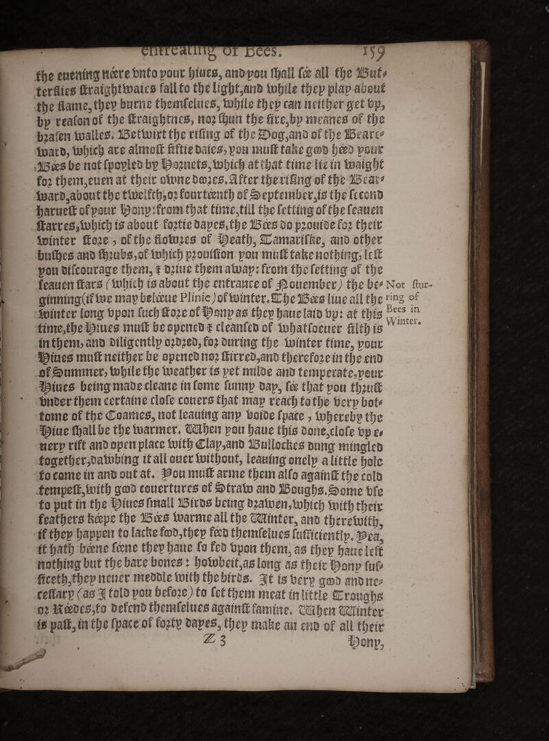 flje euenlng nare bnto pour hlnrs, anb pou fijall fa all the But* terfltes ftratg^ttoaies fall to the light,anb tohtle thep plap about ttje flame, th^ burns themfelues, tohile fljcp ran neither get bp, bp reafon of the llraigbtncs, no? fijun tfje fire,bp meanes of tfje b^a fen toalles, Bettoirtthe riling of ffjc E>og,anb of the Bearr* toato, tohtcb are aimed fiftte bales, pou mutt false g©b bees pour 315«s be not fpcpleb bp l£o?nets,tDt}lcfi at that time lie in toaight fo? tf)em,euenat their ofime b©?cs, after the riling of the Meat* toarb,aboutthc tfoeIftb,o? fourteenth of September,is the feecno hawed of pour onp: from that time,till the fctttng of the feauen ftarres,fohtch Is about fo?tie bapesdheBas bo pjoufbe fo? their botnter do?e, oftheflotmes of l^eath, SEamatlffce, arto other bulfies anb Sh?ubs,of tohtrh P?oulfion pou mud fafle nothing, led pou btfeourage them, f o?lue them atnap; from the fcftmg of the feauen dars (inlmh is about the entrance of ijScuember) the bt* Not flur glnmngdftoe map belaue PJinicjoftomfenSDhe Bees Hue all the rin§ of ; Jointer long bpon fuchdo?eof^onpas thep hauelalb bp: at this ?Jc\m tlme,the Issues mull be openeb f cleanfeb of luhaffoeuer filth isvv lntcl* In them, anb blligcntlp o?o?eb, fo? During the In infer time, pouc ^iues mull neither be openeb no? dlrreb,ano tljerefo?e in the enb ofg>ummer,tohllethe foeafher is pet nillbe anb temperate,pour f^lues beingmabecleane Infome fuitnp bap, foe that pou %ud bnber them certalne clofe couers ttjat map reach to the berp hot# tome of the Coames, not leaning anp bolbe fpate, inherebp the ^lue fljall be the inarmer, Mhen pou haue this bone,clofe bp t* r «erp rift anb open place forth Clap,anb Bullocfles bung mingles fogether,batnbing if all ouerfolthouf, leaning onelp a little hole to come tit anb out at. pou mull arme them alfo againil the colb temped,tolth gtob couerturcs of Atrato anb Boughs.s>ome bfe to put in the $tues fmall Biros being b?atoen,luhich bnith thett: feathers feape the Bas luarme all the Mutter, anb therewith. If thep happen to lactic fo&,thep feet» themfelues fufficlentlp. pea, it hath banc fane thep haue fo feb bpon them, as thep haue left nothing but the bare bones: holubelt,aslong as their l£om> M* ficefhjfhep neucr mebblefoifh thebirbs. git Is berp g®a ano no* ceflarp (as 31 folb pou beftnej fo fetfhem meat In little SEroughs o? Habes,fo befenb themfeluesagalnllfamine. MhenMinfcr is pan, in fl;e fpace of fo?tp bapes, thep matte an enb of all their v . ^3 Donp,