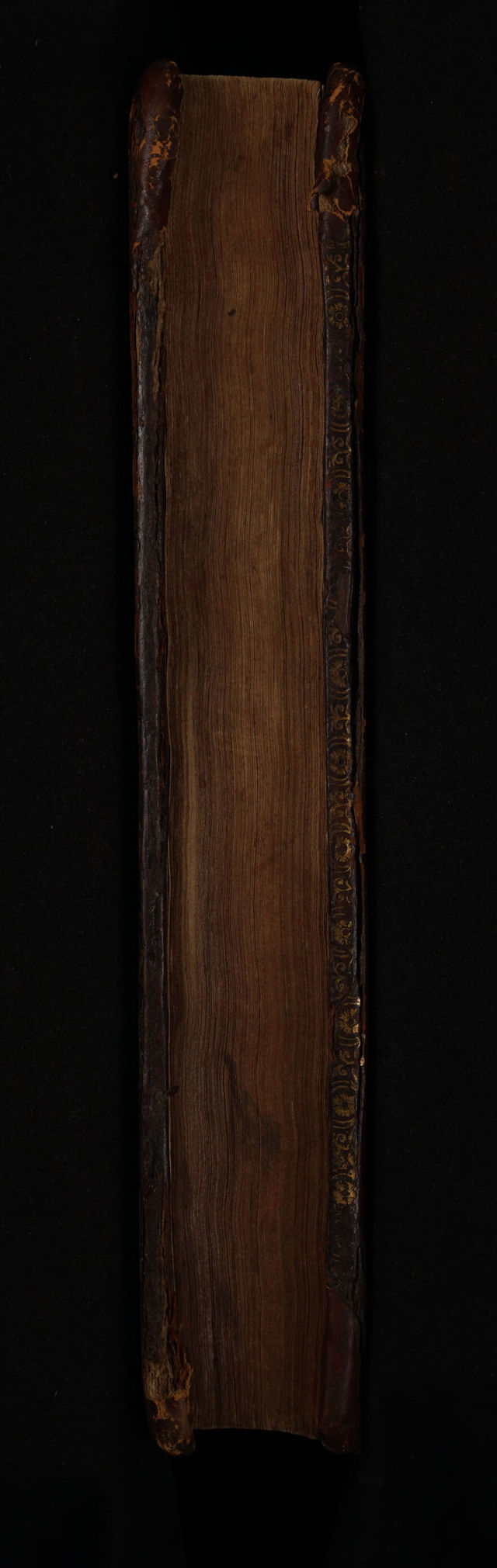 digitised image 3