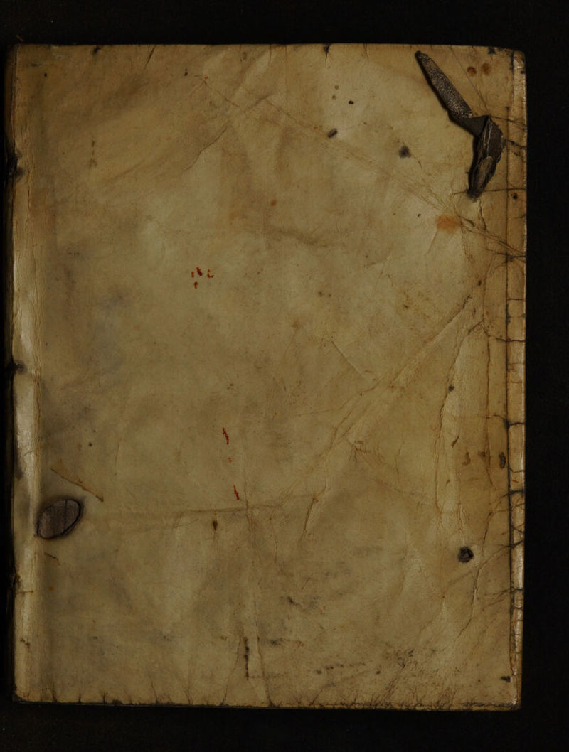 No text description is available for this image