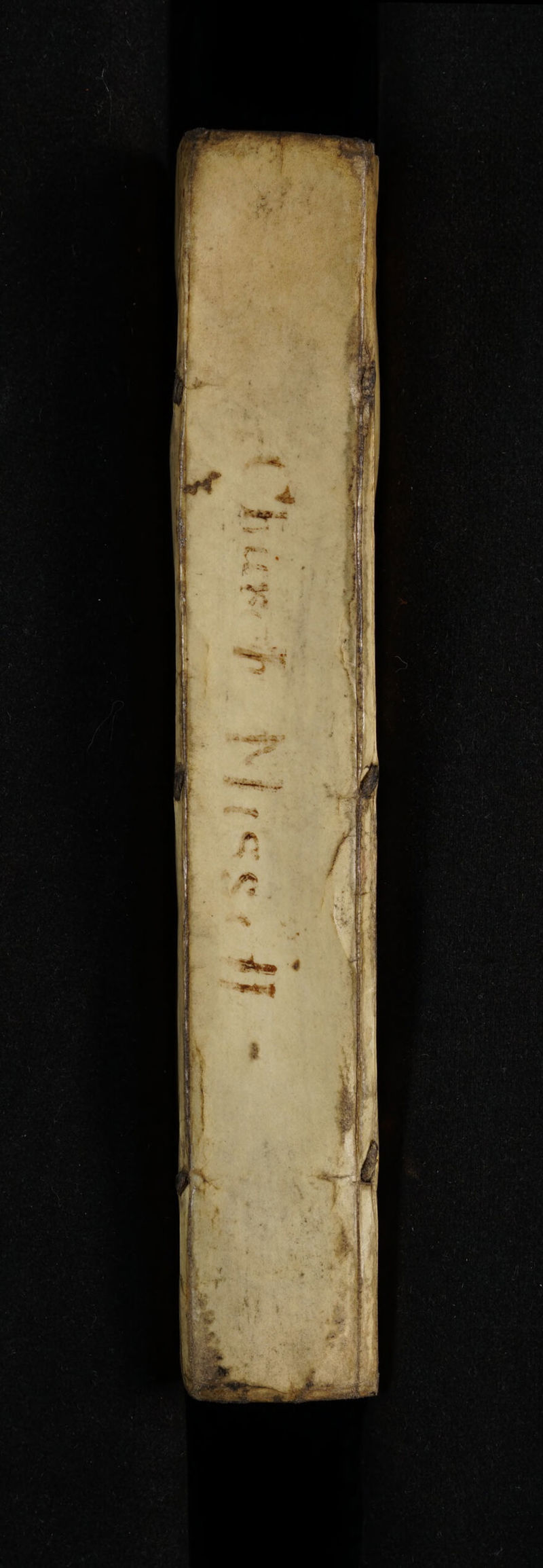 No text description is available for this image