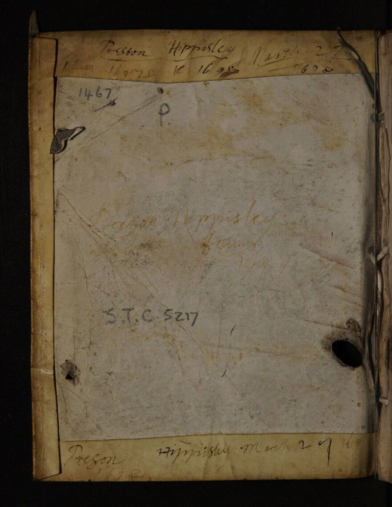 No text description is available for this image