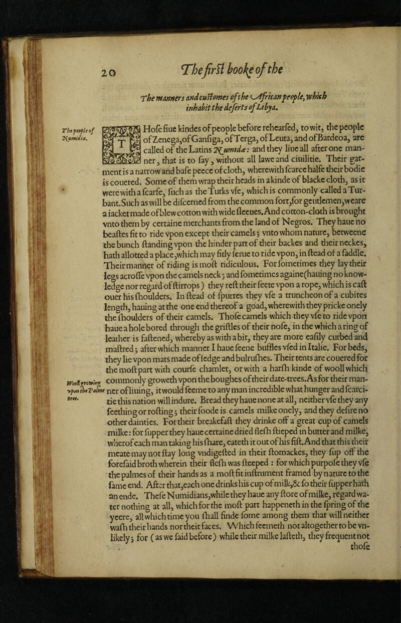 zo 'the HtMtHtfs eHiculiomts eft he i^friart^eefle, whith inhehit the dejirts ofLibya. Hofefiuekindcs of people before rehcarfcd, to wit, the people of Zcnega,of Ganfiga, of Tcrga, of Leuta, and ofBardeoa, arc called of the Latins and they line all after one man¬ ner, that is to fay, without all lawc and ciuilitie. Their gar¬ ment is a narrow and bafe pcccc of cloth, wherewith fcarcc halfc their bodic iscouered. Somcofthemwraptheirheadsinakindeofblackccloth,asit werewithafearfe, lltchas thcTurksvfe, whichis commonly callcdaTur- bant.Such as will be difeerned from the common fort/or gciitlemen,weare a iacket made of blew cotton with wide fleeues. And cotton-cloth is brought vntothemby certaine merchants from the land of Negros. Theyhaueno beaftes fit to ride Vpon except their camels 5 vnto whom nature, betweene the bunch ftandingvpon the hinder part of their backes and their neckes, hath allotted a place,which may fitly feme to ride vpon, in Head ,of a faddlc. Their manner of riding ismoft ridiculous. Forfbmetimes they lay their leos acrofle*vpon theeamcls neck; and fometimes againc(hauing no know¬ ledge nor regard of ftirrops ) they reft their feete vpon a rope, which is caft ouerhisfhouldcrs. Inftead of fpurres they vfe a truncheon of a cubites length, hauing at the one end thereof a goad, wherewith they prickeonely the (boulders of their camels. Thofccamcls which they vfeto ridevpon haue a hole bored through thcgrifticsof theipofe, inthcvfbkharingof leather is faftened, whereby as with a bit, they are mote cafily curbed and maftred 5 after which manner I haue feene bufflcsvfcd in Italic. For beds, they lie vpon mats made of (edge and bulrufhcs. Their tents arc coucred for the moft part with courfe chamlct, or with a harfh kindc of wooll which rootf rowmj commonly groweth vpon the boughes of their date-trees. As for their man- yfm fhtTahm ncr of liuing, it would feeme to any man incredible what hunger and fcarci- *'* tie this nation will indure. Bread they haue none at all, neither vfe they any feethingor rolling; theirfoodeis camels milkeonely, and they defireno other dainties. For their breakefaft they drinke off a great cup of camels milke: for fupper they haue certaine dried flefh fticpcd in butter and milke, wherofeach man taking his (hare, cateth it out of his fill. And that this their mcatc may not flay long vndigefted in their ftomackes, they fup off the fewefaid broth wherein their flefh was fleeped : for which purpofe they vfe thcpalmesof their hands as a moft fit inftrument framed bynaturetothe fame end. After that,each one drinks his cup of milk,& fo their fupper hath an ende. Thcfc Numidians,whilc they haue any (lore of milke, regard wa¬ ter nothing at all, which for the moft part happenethinthclpringofthc ycerc, all which time you fhall finde fomc among them that vvillncithcr wafh their hands nor their faces. Which feemeth not altogether to be vn- likely; for (as we faid before) while their milke laftcth, they frequent not thofe Tiumidia^