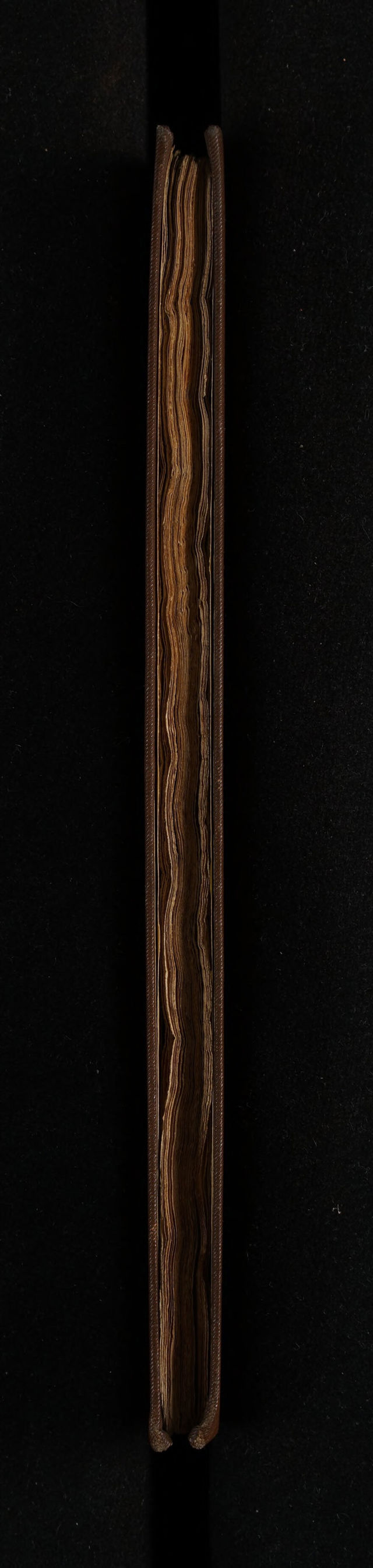 digitised image 3