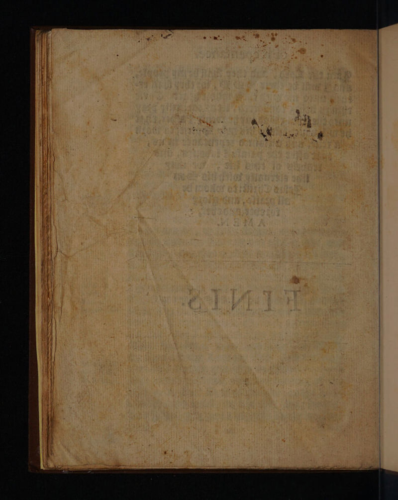 No text description is available for this image