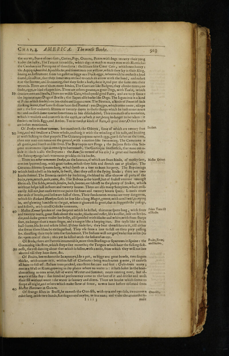 V C H A p, 4. AM.EB.lCAi The ninth Booke, the warer; Bores of two fortSj Conies,Pigs, Ounces, Foxes with bags to carry their yong vndcr the beily. The Tata or Armadilla, which digs as much as many men with Mattocks; the Conduacuor Porcupine of three forts: the Hirara like Ciuet Cats, which cate honey ; the Aquiqai,bearded Apes blacke.and fometimes one ycllow,wiiich they fay is their King, hauing an Inftrumenc from his gullet as bigge as a Duck-egge, wherewith he maketh a loud Ibund; fo a£fiue,thac they fometimes are faid to catch an arrow with the hand, and redarC it at the (liooterj and fo cunning.chat they feefce a leafe,chew it,and put the fame into their wounds. There are of them many kindes. The Cuati are like Badgers, they climbe trees; no fnake,egge,or bird efcapes him. There are others greater,as great Dogs, with Tusks, which lo deuourernenand bcafts.Therc arc wildc Cats,whichyecld good Furre, and are very fierce : the Iagoarucu;arcDogs of Bradle ; the Tapati allb barkelike Dogs. The laguacinia is a kind of Foxe which feedeth on Sea.-crabs and Sugar-canes. The Birataca, a kiiide of Feitct of fuch ilinking fauour,thatffome Indians haue died Ciicrcof: yea Dogges, which come neere, efcape not; the fent endureth fifteene or twenty dayes in thofe things which he hath come neere to: andcaufsthfome towne fometimes to bee difinhabited. This commeth of a ventoiitie, which it voideth and coucreth in the earth,or cafic-th it out,being in danger to be taken : ic feedeth on birds Eggs,and Amber. Ten or twelue kinds of Rats,all good mear^Other bcalfs are before mentioned. Of Snakes witbttKvenome, heenumbreth the Giboya, Ibmcof which are twenty foot 20 long,and wil Iwallow aDeerc whole,crufhing it with the winding of his taile,and bruifing it with licking to that purpofe.The Guiaranpiaquana eateth eggs.goeth falier on the trees, then any man can runne on the ground,with a motion like fwiroming. The Camoiama is all grecne,andliueth on like food.The Boy tiapua cate Frogs j the Indians ftrike this Ser¬ pent on womens hips as remedy to barrenneffe. The Gaitiaepia fmelleth (b, that none can a- bide it: fuch isalfo the Boyuma : the Fdiwflo termed of his ciie^ Is great and harmelefle; the Baicupeganga hath venemous prickles on his backe. There are ether venemoHs Snakesyns the Iararaca,of which are foure kinds, of musky fent, one ten fpannes long, with great tuskes,which they hide and ftretch out at pleafurc. The Curucucu fifteene fpannes long, which lycth on a tree to hunt his prey. The Boycimiaga 30 which hath a bell in his tayle, fo fwift, that they call it the flying Snake ; there are two kinds thereof. The Ibiracua caufeth by his biting,the blood to iflue thorow all parts of the body,eye$,mouth,nofe,eares. See, The Ibiboca is the faircft,but of foulcft venome amongft them all.The fields,woods,houfes,beds,bootes,arc fubieft to thcplenty of Snakes, which without heipe kill in foure and twenty houres. There are alfo many Scorpions,whiGh ordi- . narily kill notjbutcaufe extreme paine for foure and twenty houres Ipacc^ Lizards coucr the wals ofhoufes,and holes are full of them. Their fundament-worms are very dangerous, which Sir Richard Hawkins faith he faw like a long Magot,greene,with a fed heSd,creeping in, and glewing himldfe to the gut, where it groweeb to great,that it lloppeth the palTage, . andkillctb, with cruellColicke torments, .O Mafter Kntuet fpeakes of one Serpent which he killed, thirteenc fpans long , with foure and tweiity teeth, great fliels about the nccke, Macke and ruffet, like a collar, Icfle on her bo- die,and darke greene vndcr her belly, all fpcckled with blackc and white,with foure Iharpe feet, no longer then' a mans finger, and a tongue like, a harping iron. Her tayle like a firaic buIl-hornCjMackeand white lilled.lfthey findefire, they beat themfcluesin ic, till either the fireor chemfelucsbe cxtinguiflied. They vfe from a tree to fall on their prey pafling by, thrufting their tayle into the fundament. The Indians will not goe(vndcr flue or fixc)tb fet vpoo one of them ; this yet he killed with the helueofaH axe. Of Birds, there are Parrots innumerabIe,more then Starlings or Sparrows inSpaine; the Guaminbig like Bees,which fleepe fixe moncths j the Tangata which haue the falling-fick- 50 neffe, the reft dancing about that which is fallen.with a noile, from which they will not bee skarred till they haue done, See, Of Fruits, bee reckons the lacapucaya.like a pot, as bigge as a great bowle, two fingers thicke, wichacouer inic, within full of Chefnuts; being much eaten greene, it caufeth all hairc to fall off: Balfam trees pricked, excellent for cure and fent : Oyle-trces many ; one as a Well or Riucr,growing in dry places where no water is: it hath holes in the bran¬ ches as long as ones arme, full of water Winter and Summer, neuer running ouer, but al- wayesatlike ftay : fiuehondredperfonsmay come to the foot of it and drinke and wafb their fill without want: the water is fauoury and cleere. There arc hearbs which feeme to fleepe all night,and others which make (hew of fence, as wee haue before obferued from jjQ Mafter Harcourt in Guiana. Of ftrange fifhes in Brafil,he nameth the Oxe-fifh, with eyes and eye-lids, twoarmes a cubit long.wkk two hands,Sue fingers and nayles, as in a man; and ynder the armes the fe- I i i i 3 male Snakes. Mafler Prkrs TreatiW ofBicdsa FruiiSjTreesi and Herbs., Oxe*fi(h, /