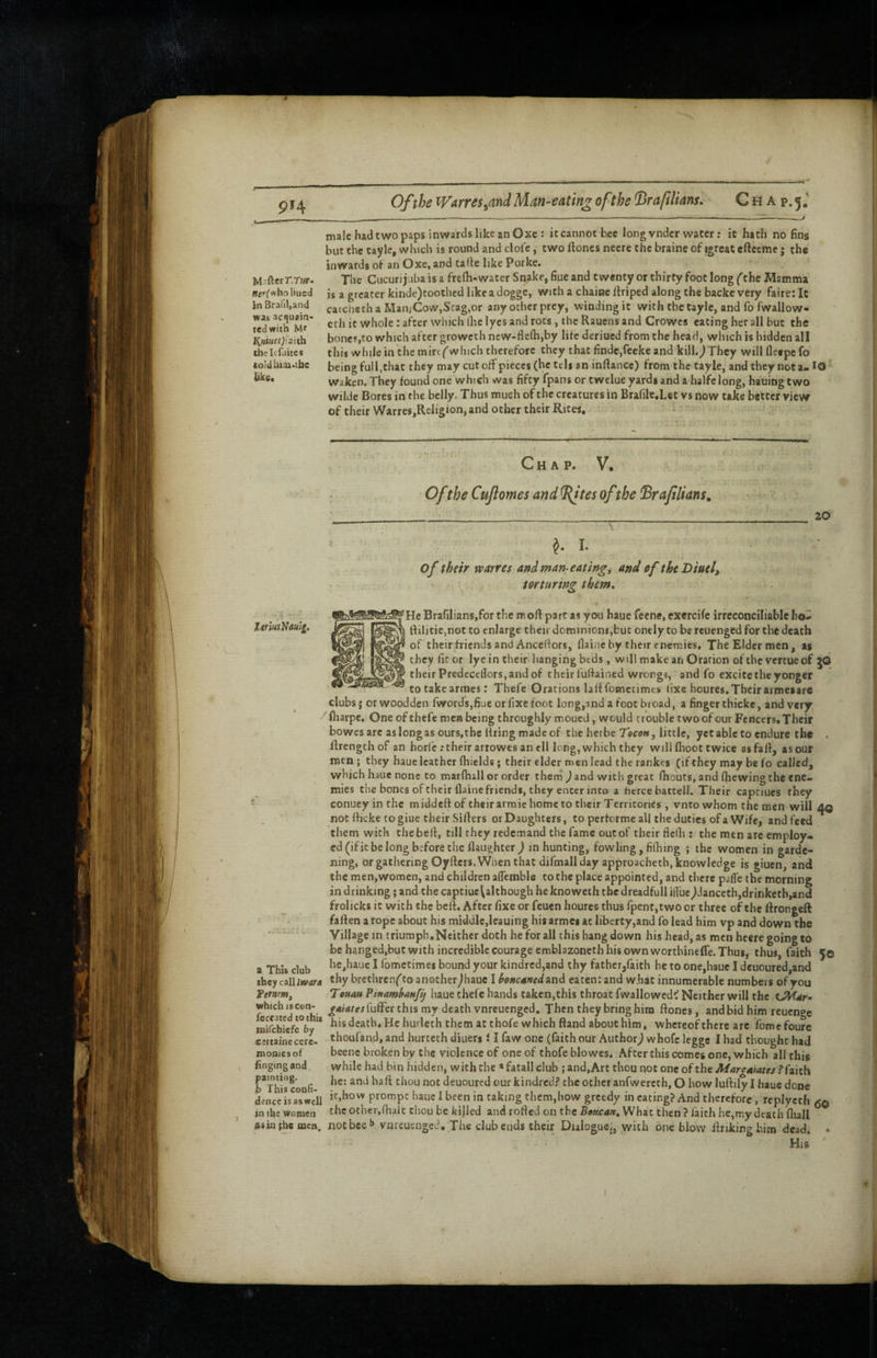 9H Of the Wiirres^dnd Man-eating of the ^rafilians. C h A p. 5, Mnfterr.rar- Bfi'fwho liucd }n Brafiljand was acquaint ted with M* theleluites so'dhiaa.tbe like. male had two paps inwards like an Oxe: itcannotbce long vndcr water; it hath no fins but the tayle, which is round and clofe, two Hones neere the braine of igrea? eftccme j the inwards of an Oxe, and talle like Porke. The Cucurijaba is a frelh-water Snake, fiue and twenty or thirty foot long (the Mamma is a greater kiride)toothed likeadogge, with a chaine ftriped along the backc very fairetic catcbecha ManiCow,Stag,or any other prey, winding it with the tayle, and fo fwallow- eth it whole: after which ihe lyes and rocs, the Rauens and Crowes eating her all but the bones,to which after groweth new-fle(h,by life deriued from the head, which is hidden all this while in the inirt (^which therefore they that finde,feeke and kill.)They will fleepe fo being full,that they may cut otf pieces (he tcli an inftance) from the tayle, and they not a. *0 waken. They found one which was fifty fpans or twelue yards and a halfc long, hauing two wilde Bores in the belly. Thus much of the creatures in Brafile.Let vs now take better view of their Warres,Religion, and other their Rites, Chap. V. Ofthe Cujlomes and ^tes ofthe (Brafilians, 20 ItmsNaui^, J. I. ' of their mrres andman-eatingy and of theDiuel, torturing them. He BrafilianSjfor the moH part as you haue fecne, exercife irfcconciliable ho* liilitie,not to enlarge their dominions,but onely to be reuenged for the death of theirfriends and Ancedors, flaineby their enemies. The Elder men, as they fit or lye in their hanging beds, will make an Oration of the vertue of jO their Predeccllors, and of theirfufiaitied wrongs, and fo excite the yonger totakearmes; Thefe Orations laltfomecimcs fixe houres.Theiraimesare clubs j or woodden fwords,fiue or fixe foot long,and a foot broad, a finger thicke, and very, -^fliarpe. One of thefe men being throughly moued, would trouble two of our Fencers. Their bowes arc as long as ours,the firing made of the herbe Tecen, little, yet able to endure the . Hrengthof an horl'e; their artowes an cll long, which they will flioot twice as fall, as our men ; they haue leather fhields; their elder men lead the rankes (if they may be fo called, which hauc none to marfhall or order them ^ and with great ftio'uts, and fhewing the ene¬ mies the bones of their flaine friends, they enter into a fierce battell. Their captiues they conuey in the middeftof their armie home to their Territories , vntowhom the men will not fticke togiue their Sifters or Daughters, to pertormeall thedutics ofa Wife, and feed them with the bell, till they redemand the fame out of their flelli; the men are employ¬ ed (if it be long bifore the flaughter ) in hunting, fowling,filhing ; the women in garde¬ ning, or gathering Oyfters. When that difmall day approacheth, knowledge is giuen, and the men,women, and children aflcrtible to the place appointed, and there pafle the morning in drinking; and the captiuc^although he knoweth tbedreadfullilTue,)Janceth,drinkctb,and frolicks it with the bell. After fixe or feuen houres thus fpent,two or three of the ftrongeft faften a rope about his middle,leauing his armes at liberty,and fo lead him vp and down the Village in triumph,Neither doth he for all this bang down his head, as men heere going to be hanged.but with incredible courage emblazoneth his own worthiiieffe. Thus, thus, faith 5© hcjuuc I fometimes bound your kindrcd,3nd thy fathcrjfaith he to one,haue I deuoured,and »hey call/ward thy brethrenf' to another jhaue I houcaned and eaten: and what innumerable numbers of you ?er«?w, T«uau Pinamhanfij liaue thefe hands taken,this throat fwallowed^ Neither will the which ucen- ^4/drf/fuffer this my death vnreucnged. Then they bring him ftones, and bid him reuenge his death. He hurleth them at thofe which ftand about him, whereof there arc fomefoure thoufand, and hurceth diuers i I faw one (faith our Author^ whofc legge I had thought had beenc broken by the violence of one of thofe bio wes. After this comes one, which all this while had bin hidden, with the « fatall club ; and.Art thou not one of the Marcaiatesfaith he; and haft thou not deuoured our kindred? the ocher anfwerctb, O how luftily I haue done dwnce is as well prompc haue I been in taking them,bow greedy in eating? And therefore, replyeth aq in the women the other.fhalc thou be killed and rofied on the Boneax, What then ? faith he,my death fliall asinphe ajca. not beevni euenged. The club ends their Dubguei, with one blow ilrikinghim dead* «> His ' a This club fo crated to this mifebiefe by ceitainecere* momesof fingingand painting, b This conH'