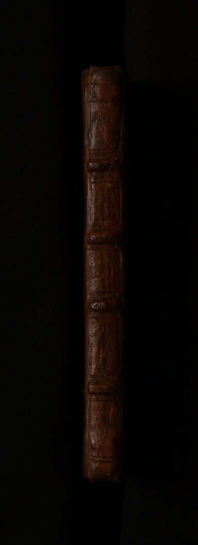 digitised image 2