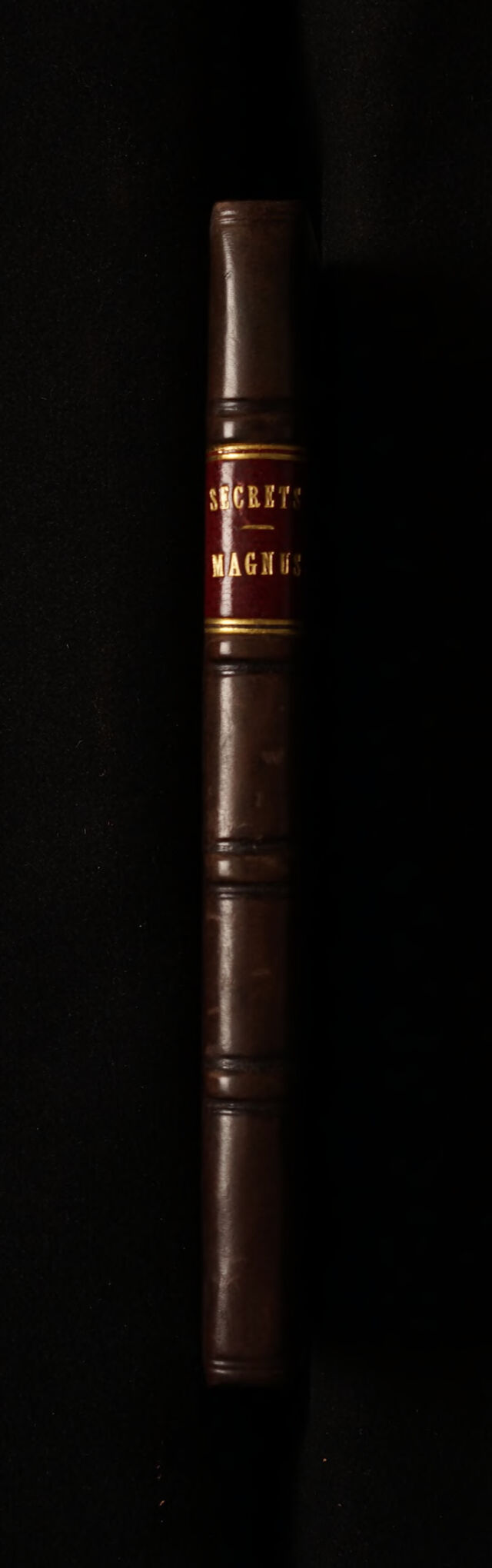 No text description is available for this image