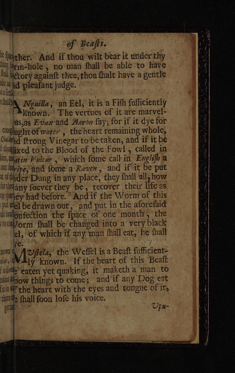 ithwkeners And if thou ‘wilt bear it under thy hing bm-hole; no“iman fhall be able ‘to have fal \ctory againft thee; thou fhalt have a gentle atid pleafant judge. ~ : Dalla: 2h 245 2 ‘hl: Aguile &gt; ‘an Eel, it is a Fith fufficiently AkKnown. ' The vertues of it‘are marvel- Us,as Evax'and Aaron fay; for if it dye for tliig@eht Of marer , the heart remaining whole, Chitty ftrong Vinegar to'betaken, and if it be | oixed to the Blood of the\Fowl , called in it, atin Wl dr .° which fome call in Exglifh a not fa ipe,and fome a Raven , and if it be put dthhder Dung in any ‘place, they fhall all, how ioiht¥any foever they be, recover their lifeas er quahey had-before. ° Andif the Worm of this itiie] be'drawn out, and put in the aforefaid ilvallgnfection ‘the fpace of one ‘month, the otlti7orm ‘fhall be changed into a very black Jel, “of which if any ‘man fhall eat, he fhall ie. . /| the Weflel is a Beaft fufficient- If the heart of this Beaft