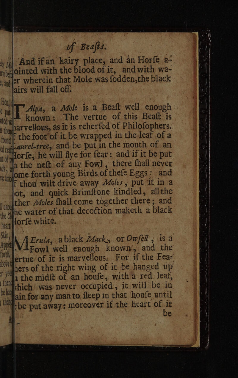 be a ‘And ifan hairy place, and an Horfe a- lointed with the blood of ir, and with wa- er wherein that Mole was fodden,the black Alpa, a Mole is a Béaft well enough J known: The vettue of this Beaft is harvellous, as it is reherfed of Philofophers. the foot’of it be wrapped in the-leaf of a slepp-anrel-eree, and be put in the mouth of an no lor fe, he will flye for fear: and if it be put la the neft of any Fowl, there fhall never jome forth young Birds.of thefe Eggs: and F thou wilt drive away oles, put ‘it in a io \ 4 Erte ablack Afack,, or Owfell , isa fot ‘Yi Fowl well enough known’, and the tertue of it is marvellous. For if the Fea: _ ders of the right wing of it be hanged up ‘Ta the midit of an houfe, witha red. leaf, rhich ‘ was never occupied, it will be in fain for any manto fleepin that houfe until I'be put away: moreover if the heart of it