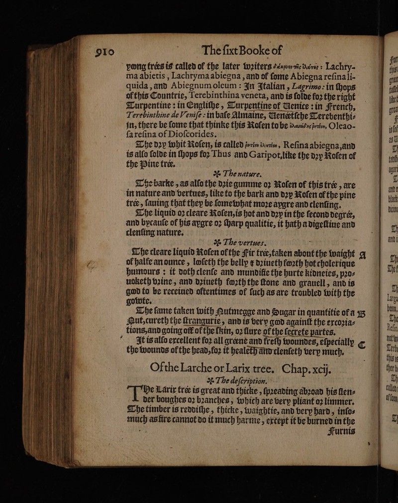 pong trers is called of the later weiters ee dart: Lachry- ma abietis, Lachryma abiegna, and of ſome Abiegna reſina li- quida, and Abiegnum oleum: In Italian, Lagrimo: in ſhops ol this Countrie, Terebinthina veneta, and is ſolde fo2 the right Turpentine: in Engliſhe, Turpentine of Uenice: in French, Terebinthine de Veniſe in baſe Almaine, Venetiche Terebenthi⸗ jn, there be ſome that thinke this Rolen to be , Oleao- ſa reſina of Dioſcorides. | The dv whit olen, is called i Hen, Refina abiegna, and is allo ſolde in ſhops foꝛ Thus and Garipot, like the dey Roſen of the Pine tre. The nature. The barke, as allo the dꝛie gumme oꝛ Rolen of this tre , are in nature and vertues, like to the bark and dꝛy Kofen of the pine tree, ſauing that they be ſome what moze aygre and clenſing. The liquid o2 cleare Molen, is hot and dꝛy in the ſecond degrer, and bycaule of his aygre 02 ſharp qualitie, it hath a digeſtiue and clenſing nature. | M The vertues. f of halfe an ounce, lofeth the belly ¢ dꝛiueth foꝛth hot cholerique uoketh vꝛine, and dꝛiueth foꝛth the ſtone and grauell, and is god to be receiued oftentimes of ſuch as are troubled with the gowte. Mut, cureth the ſtrangurie, and is very god againſt the excoꝛia⸗ the wounds of the head, foꝛ it healeth and tlenleth very much. Ofthe Larche or Larix tree. Chap. xcij. &amp;. The deſcription. de Nance Larix tre is great and thicke, ſpꝛeading abꝛoad his llen⸗ der boughes oꝛ bꝛanches, which are very pliant oꝛ limmer. The timber is reddiſhe, thicke, waightie, and very hard, infos much as fire cannot do it much harme, extept it be burned in the 97 Furnis