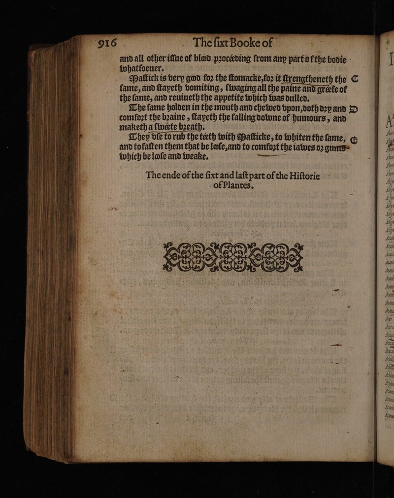 and all other illue of blod pꝛocerding from any part ofthe bodie whatſoeuer. Matick is very god foꝛ the ſlomacke, foꝛ it ſcrengtheneth the C fame, and ſtapeth vomiting, ſwaging all the paine and greece of the ſame, and reuiueth the appetite which was dulled. The fame holden in the mouth and chewed vpon, doth dꝛy and D comfozt the bꝛaine, ſtapeth the falling downe of humours, and maketh a ſwerte bꝛeath. They ble to rub the teeth with Maſticke, to whiten the lame, € and fofatten them that be lole, and to comloꝛt the iawes oꝛ quate which be lole and weake. — The ende of the ſixt and laſt part of the Hiſtorie of Plantes.