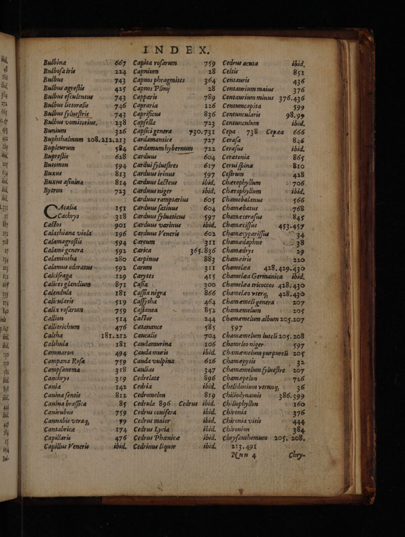 Bulbina Bulbofa iris Bulbus Bulbus agrefiss Bulbus efculentus Bulbus littoralis Bulbus ylueſtris Bulbus vomitoriuds. 238 Bunium 326 Buphthalmam 208. 212.213 Bupleurum 584 Bupreſtis 628 Butomon 594 Buxus 813 Buxus aſinina 814 Bytron 723 Cy Cachrys Cattos Calathiana viols Calamagroſtis Calami genera Calamintha Calamus odoratus Calcifraga Calices glandium Calendula Calicularis Calix vofariun Callion Callitrichum Caltha Calthula Cammaron Campana Roſa Campſanema Canchrys Cania Canina fentis Canina braſſica Canirubus Cannabis vtrag, Cantabrica Capillaris Capillus Veneris. . 667 224 743 425 743 746 743 151 318 901 196 594 $92 280 592 129 871 181 519 759 514 476 Capita roſarum Capnium Capnos phragmites Capnos Pliny Capparis Capraria Caprificue Capfella Capfici genera Cardamantice Carduus Cardui ſylueſtres Carduus irinus Carduus lacteus Carduus niger Carduus ramptarius Carduus ſatiuus Carduus ſyluaticus Carduus varinus Carduus Veneris Careum Carica Carpinus Carum Carytes Cara Caffia nigra Caffytha Caſtanea Caftor Catanance Cancalis Caudamurina Cauda muris Cauda vulpina Cauilias b Cedrelate Cedria Cedromelon Cedrula 896 Cedrus conifera Cedrus maior Cedrus Lycia 759 727 722 604 617 597 ibid, 605 604 597 ibid. 602 311 883 311 415 300 866 464 $52 244 585 704 106 ibid. 626 347 896 ibid. 8179 ibid. ibid. ibid. ibid, ibid. Cedrus acusa Celtis Centauris 436 Centaurium maius 376 Centaurium minus 376.436 Centumcapita Centuncularis Centunculum Cepa 738 Ceraſa Cerafus Ceratonia Cerui {Lina 5 chærephylium chærophyllum Chamebalanus Chamebatus Chamecerafus Chamecifqus Chamecypariffins chamædaphne Chamedrys Chameiris Chamelea 428. 429. 430 Chamelea Germanica ibid. Chamelea tricoccos 428, 430 chamelæo vterg, 428. 430 chamæmeli genera 207 Chamemelum 205 chamæmelum album 205.207 597 0 chamæmelum luteñ 205. 208 chameleo niger 597 Chamemelum pur pures 205 Chamepyiis Chamæmelum [yluefive Chamepelon chelidonium vtrunq; Chiliochnamis Chiliophyllon Chironia Chironia vitis Chironion 3 Chryfanthemum 205. 208, 213,491 Nun 4 ébid, 851 Cepæa Chry-
