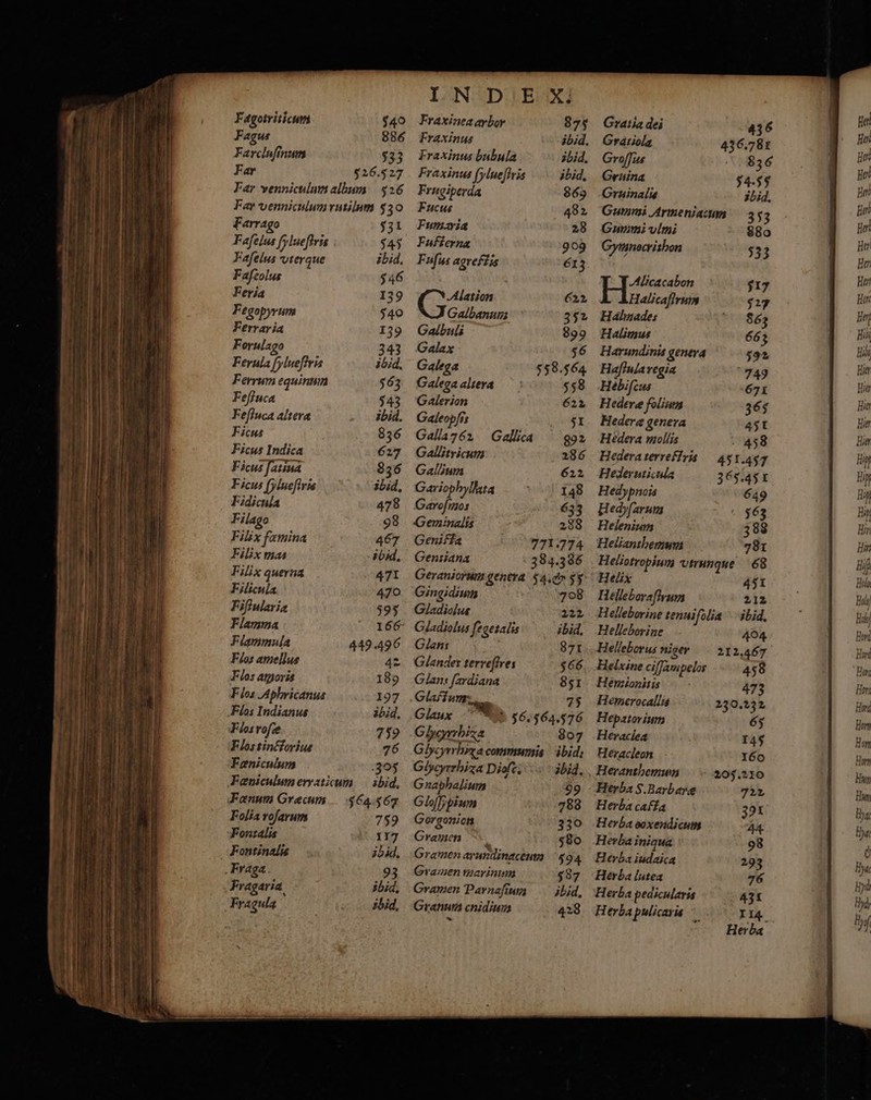 Fagotriticum Fagus Farcluſinum $33 Far 526.5 27 Far venniculum album 526 Far venniculum rutilum 5330 Farrago 531 Fafelus fyluefiris 545 Fafelus à vterque ibid. Fafeolus Feria Fegopyrum Ferraria F orulago Ferula fy lueſtris Ferrum equinum Feſtuca Feſtuca altera Ficus Ficus Indica Ficus [atina Ficus ¶ylueſiris Fidicula Filago Filix famina Filix mas Filix queria Filicula Fiſtularia Flamma Flammula Flos amellus Flos amoris Flos A phricanus Flos Indianus Flos roſæ Flos tinctorius Feniculum Fæniculum erraticum sid, Fœnum Græcum § 64.569 Folia rſarum 759 Fontalis 117 Fontinalis id. Fraga Fragaria Fragula 740 886 IN DHE XN. 875 ibid. ibid. ibid. 869 482 28 909 Fra xinea arbor Fraxinus Fraxinus bubula Fraxinus [yluefiris Frugiperda Fucus Fumæria Fufferna Fuſus agrestis Alation Galbanum Galbuli Galax Galega Galega altera Galerion Galeopfis Galla 762 Gallitricum Gallium Gariophyllata Garofmos Geminalis Geniffa 771.774 Gentiana 384.386 Geraniorum genera gg. &amp; 5 Gingidium 708 Gladiolus 222 ibid, 871 566 851 75 622 352 899 56 558.564 558 622 SI 892 286 622 148 633 288 Gallica Glans Glandes terrefires Glan: ſardiana Glaftumy_ Glaux Oy 56. 564.576 Ghorrhiza 807 Glycyrrhixacommumis ibid: Glheyrrbiza Diol. ibid. Cnaphalium 99 Gleſſipium 788 Gorgonion 330 Gramen 580 Gramen ar undinacenm 594 Gramen marinum 587 Gramen Parnafium ibid. Granum cnidium 28 Gratia dei Gratiola Groſſus Gruina Gruinalig Gummi Arme niacum Gummi vlmi Cymnocrithon Alicacabon Fa, Halmades Halimus Harundinis genera Haſtula regia Hebifcus Hederæ folium Hederæ genera Hedera mollis Hedera terrefTris Hederuticula Hedypnois Hedyſarum Helenium Helianthemum Heliotropium vtrunque 68 Helix 451 £ ener um 212 Helleborine tenuiſolia ibid. Helleborine 404 Helleborus niger 212,467 Helxine ciffampelos 458 Hemionitis Hemerocallis Hepztorium Heraciea Heracleon 205. 210 Herba S. Barbara 722 Herba cafta Herba ooxendicum Herba iniqua Herba iudaica Herba lutea Herba pedicularis Herba pulicaris a