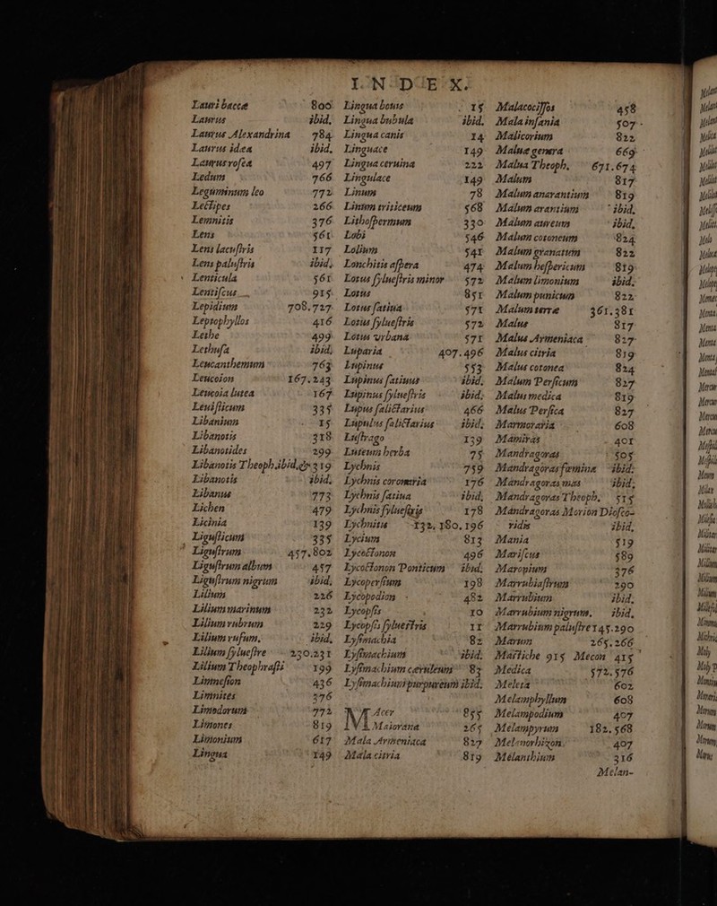 Lauri baccæ 800 Laurus ibid. Laurus Alexandrina 784 Laurus idea ibid, Laurus rofea 497 Ledum 766 Leguminum leo 772 Leétipes 266 Lemnitis 376 Lens 561 Lens lacufiris 117 Lens paluftris ibid; ' Lenticula 561 Lentiſcus 915 Lepidium 708.727 Leptophyllos 416 Lethe 499 Lethuſa ibid. Leucanthemum 763 Leucoion 167. 243 Leucoia lutea 167 Leuiſticum 337 Libanium SRE Libanotis 318 Libanotides 2 Liguſtrum 457. 802 Liguſtrum album 457 Liguſtrum nigrum ibid. Lilium 226 Lilium marinum 232 Lilium rubrum 229 Lilium rufum. ibid, Lilium ſylueſtre 230.231 Lilium Iheophraſti | Limnefion Limnites Limodorum Limones Limonium Lingua I. N DUE X. Lingua bouis 15 Lingua bub ula ibid. Lingua canis Linguace Lingua ceruina Lingulace Linum Linum triticenm Lithoſßermum Lobi Lolium Lonchitis afpera Lotus ¶lueſtris minor Lotus Lotus ſatiua Lotus ſylueſtris Lotus vrbana Luparia Lupinus Lupinus ſatiuus Lupinus ſylueſtris Lupus ſalictarius Lupulus ſalictarius Luftrago Luteum berba Lychnis Lychnis coronaria 176 Hehnis ſatiua ibid. Lychnis [rluchsis 178 Lychnitis 132. 180. 196 Lyciurs 813 Lycoctonon 496 Lycottonon Ponticum ibid. Lycoper/ium 198 Lycopodion Lycopfis Lycopfis fyluestris Lyfimachia Lyfimachiuws Lyfimachinm cæruleum 83 Ly fmachiunipurpuvenm ibid. M Acer 855 1 Maiorana 265 Mala Armeniaca 827 Mala citria 819 Malacociffos 458 Malicorium 822 Malua Theoph, 671. 674 Malum 817 Malum anarantium 819 Malum arantium ibid. Malum coronenm 824 Malum granatum 822 Malum limonium ibid. Malum punicum Malum terræ 361. Malus Malus Armeniaca Malus citria Malus cotonea Malum Perſicum Malus medica Malus Perſica Marmoraria Mamiras M andragoras Mandragoras femina Mandra goras mass Mandragoras Iheoph. 515 Mandragoras Morion Diofco= ridis ibid, Mania 519 Marifcus 589 Maropiuni 376 Marrubiaſtrum 290 Marrubium ibid. Marrubium nigrum. ibid. Marrubium paluſtre 14 5. 290 Marum 265. 266 Medica 572. 576 Meleta a 602 Melanphyllum 608 Melampodium 407 Melampyrum 182. 568 Melcnorhizon 407 Melanthium Waste Melan- Aalen ela ela Nele Nell Mei Mel Nell mel Met Me Meloce Hehe M 17 aner Menta Menta Meme Mena, Menta! Meran Mew Meru Mens 2 2 Nam M ihe * Mollsh M 09 fa Mibsay Malin Mikign Mibwm Milnm 5 amn Mithric Moly do? amin Inari Merny Morwm Merve Morn;