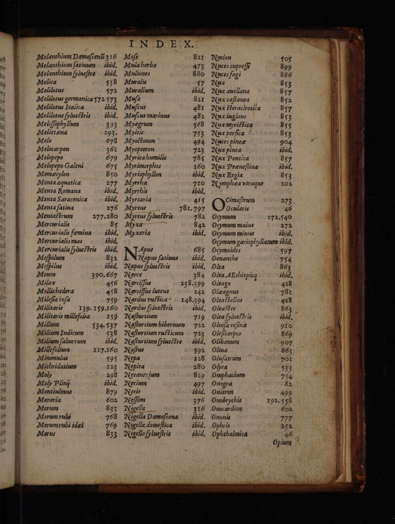 — —— — — Melanthium Damafcen 316 Mofe 821 Melanthium ſatiuum ibid. Mula herbæ 473 Melanthium fylueffre ibid. Muliones 880 Melica 538 Muralis 57 Melilotus 572 Muralium ibid. Melilotus germanica 372 373 Muſa 821 Melilotus Italica ibid. Muſcus 481 Melilotus fylueftris ibid. Muſcus marinus 482 Meliſſophyllum 393 Myagrum 568 Melittæna 293. Myitis 753 Melo 678 Myoctonon 494 Melocarpon 361 Myopteron 723 Melopepo 679 Myricahumilis 785 Melopepo Galeni 675 Myrimorphos : 160 Memecylon 850 Myriophyllon ibid. Menta aquatica 277 Myrrha 710 Menta Romana ibid. Myrrhis ibid. Menta Saracenica ibid. Myrtaria 415 Menta ſatiua 276 Myrtus 781.797 Mentaffrum 277.280 Myrtus fyluefiris 782 Mercurialis 85 Myxa 842 Mercurialis femina ibid. Myxaria ibid, Mercurialis mas ibid. Meriurialis fylueftris ibid. Apus 685 Meſpilum 832 Napus ſatiuus ibid. Meſpilus ibid. Napus [ylueſtris ibid. Meum 390. 667 Narce 384 Milax 456 Narciffus 238.399 Mollishedera 458 Narciffus luteus 242 Mileſia roſa 759 Nardus ruffica* - 148.394 Militaris 139. 159. 160 Nardus fylueftris ibid. Militaris millefolia 159 Naſturtium 719 Milium 534. 537 Nueſturtium hibernum 722 Milium Indicum 538 Nafurtiumrufticum 723 Milium faburrum ibid. Naſturtium BARS ibid, Millefolium 117.160 Naſtus 592 Mimmulus 595 Nepa 128 Mithridatium 123 Nepita 280 Moly 298 Neranixium 819 Moly Pliny ibid. Nerium 497 Montiulmus 879 Neri ibid, Moraria 602 Neffion 376 Morum 833 Nigella 316 Morum rubg 768 Nigella Damaſcena ibid. Morum rubi idæi 769 Nigella domeftica ibid. Morus 833 Nigella ſylueſtris ibid. Norion 505 Nuices cupreſſi 899 Nuces fagi 886 Nux 853 Nux auellana 857 Nux caſtanea 852 Nux Heracleorita 857 Nux iuglans 853 Nux myriſtica 8955 Nux perſica 853 Nuces pineæ 904 Nux pinea ibid. Nux Pontica 857 Nux Præneſtina ibid. Nux Regia 853 Nymphaea vtraque 202 Cy trum 273 Ocularis 46 Ocy mum 272.540 Ocymum maius 272 Oc mum minus ibid. Oq mum gariophyllasum ibid. Ocymoides 597 Oenanthe 754 Olea 863 Olea AE shiopica ibid. Oleago 428 Olæagnus 781 Oleastellus 428 Oleaffer 863 Olea [ylueflris ibid, Oleofa reſinæ 910 Oleficarpos 869 Olibanum 907 Oliua 863 Oluſatrum 701 Obra 533 Omphacium 754 Onogra 82 Onitron 499 Onobrychis 192,558 Onocardion 602 Ononis 777 Ophris 252 Ophihalmica