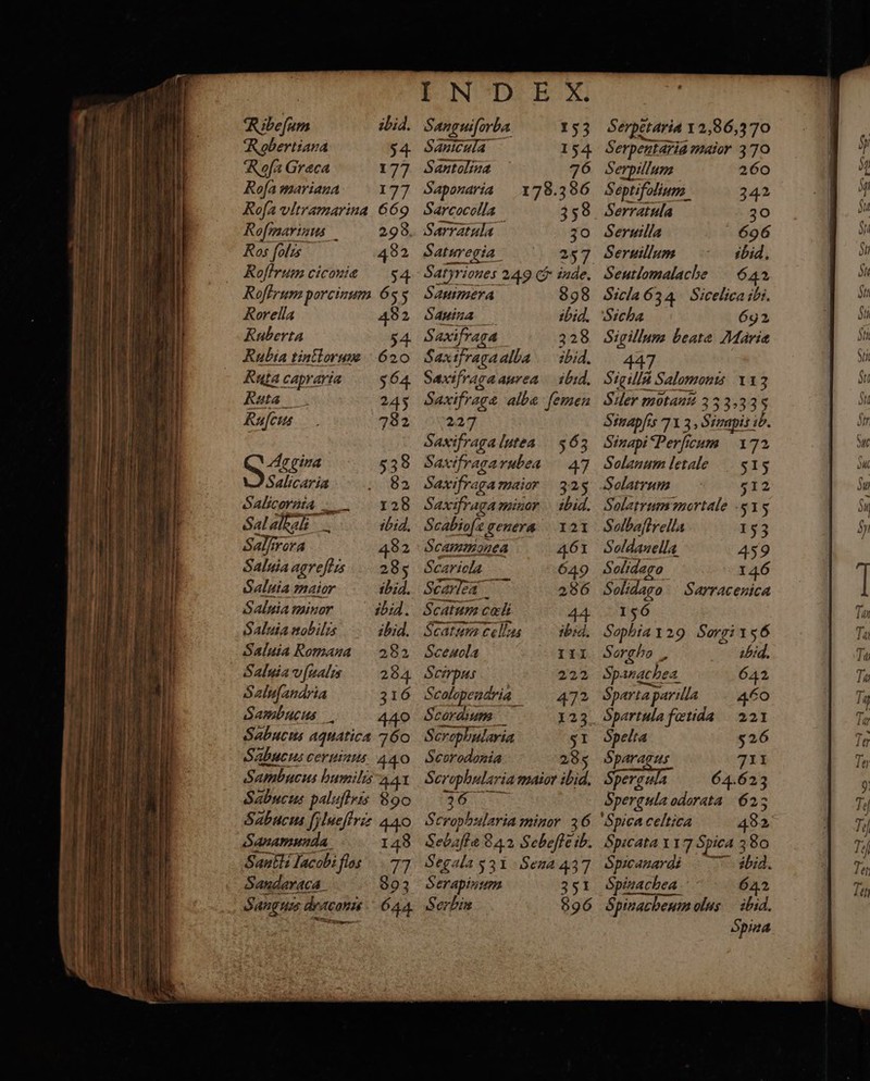 2 — — “ 2 — — — Ribefum ibid. Robertiana 54 Rofa Græca 177 Roſinarinus 298. Ros ſolis 482 Roffrum ciconiæ 54 Rorella Ruberta Ruta capraria 564 Ruta 245 Ruſcus 782 482 Aggina 538 128 ibid, 482 285 thid. ibid. ibid. 282 Salfirora Saluia agreſtis Saluia maior Saluia minor Saluia nobilis Saluia Romana Saluiavfuals 284 Saluſandria 316 Sambucus 440 Sabucus aquatica 760 Sabucus ceruinus 440 Sambucus humilis A1 Sabucus paluftris 890 Sabucus filucfiris 440 Sanamunda 148 Santti lacobiflos 77 Sanderaca_ 893 Sanguis dracon 644 NE N. Sanguiſorba Sanicula Santolina Sarratula Saturegia 25 — Sauimera Sauina S axifra 4 5 Saxifraga aurea ibid. Saæifragæ albæ ſemen 227 Saxifraga lutea Saxifraga rubea Saxifraga maior Saxifraga minor Scabiofe genera Scammonea Scariola Scarlea e Scatum cols Satin, celles Sceuola Scirpus Scolopendria Scordiun S cropbularia Scorodonia Scrophularia maior ibid. 2 8 Scrophularia minor 36 Sebafte 84 2 Sebefte ib. Segala 53 1 Sena 437 Serapinum 351 Serhin 896 Serpetaria 1 2, 86, 370 Serpentaria maior 3 70 Serpillum 260 Seruilla Seruillum Seutlomalache Sicla 63 4 Sicelica ibi. Sicha 692 Sigillum beate Mariæ 447 Sigilla Salomonis 113 Siler motanñ 3 3 3,335 Sinapfis 71 3, Sinapis ib. Sinapi Perficum 172 Solanum letale 515 Solatrum 512 Solbaftrella S ol dan ella Solidago Solidago Sarracenica 156 ibid, 642 460 221 526 711 64.623 Spergula odorata 623 ‘Spica celtica 482 Spicata 117 Spica 380 Spicauard. ibid. Spinachea 642 Spinachenm olus ibid. Spina Sorgho _ Sparachez ACCA Sparta parilla Spelta