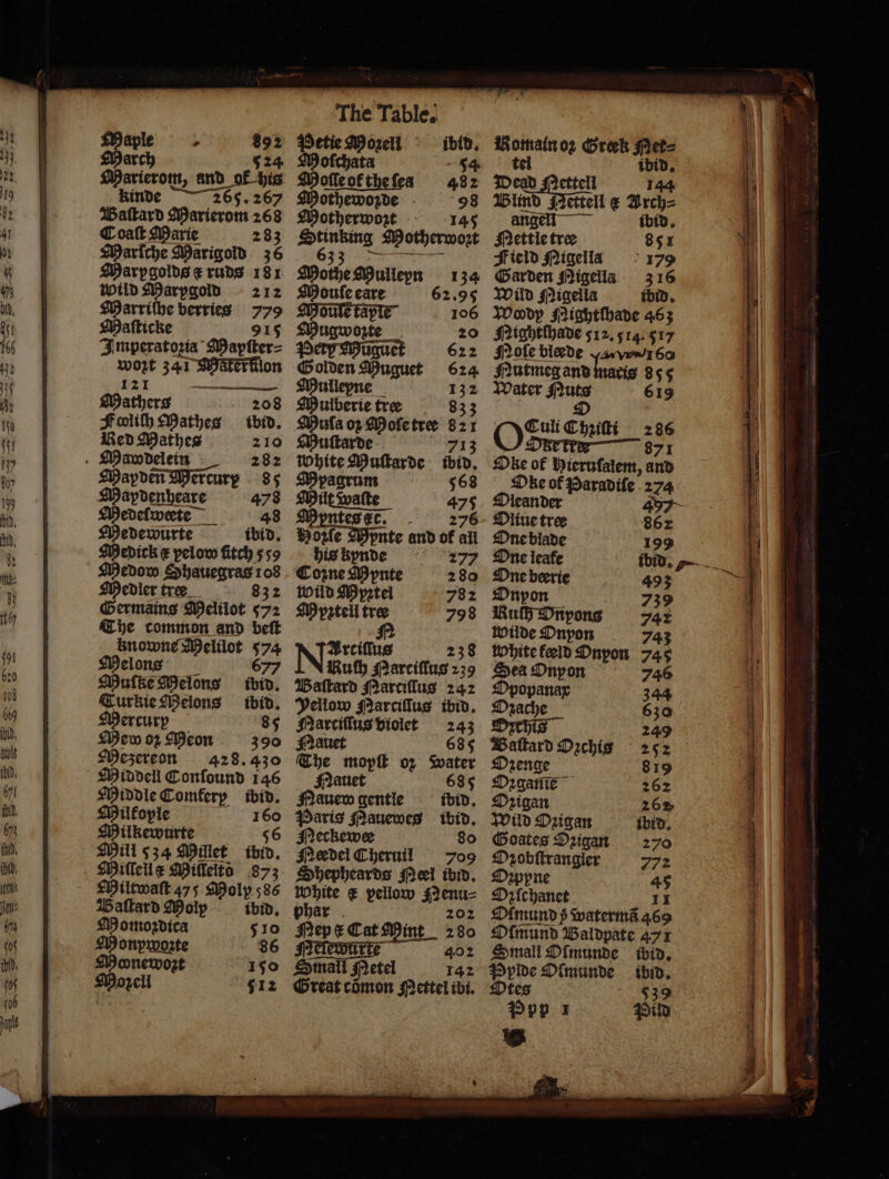 - 892 $24 Marierom, and of his Kinde 265. 267 Wattard Marierom 268 Coaſt Marie 28 Marſche Marigold 36 Marpgolds e ruds 181 wild Marpgold 212 Marriſhe berries 779 Maſticke 915 Imperatozia Mapſter⸗ wort 341 Mäkerkllon 121 — Mathers ie #olith Mathes Red Mathes . Mawdelein : 208 thid. 210 282 Mapdenheare Medeſweete 48 Medewurte ibid. Medick € pelow fitch 559 Medow Shauegras 108 Medler tree. 832 Germains Melilot 572 The common and beft knowne Melilot 574 Melons Muſke Melons ibid. Turkie Melons ibid. Mercurp 85 Mew oz eon 390 Mezereon 428. 430 Middell Confound 146 Middle Comkerp ibid. Milkople 160 Milkewurte 56 Mili 534 Millet ibid. Miſſell x Millelts 873 Miltwaſt 475 Molp 586 Baſtard Molp ibid. Momordica 510 LH onpwozte 86 Monewozt 150 Morell 512 478 The Table. etie Mozell nr Moſſe ot the ſea Mothewoꝛde Motherwozt 54 482 98 145 33 Mothe Mullepn 134 Mouſe care 62.95 oule fap 106 Mugwozte 20 622 624 Mullepne 132 Mulberie tre 833 Muſa oꝛ Moſe tree 821 Muſtarde 713 White Muſtarde ibid. pagrum 568 Milt waſte 475 Myntes ce. 276 Bozle Mpnte and of all his kynde 277 Coꝛne Mynte 280 wild Mypꝛtel 782 WM patel tree 798 Yellow Marciſſus ibid. Narciſſus violet 243 Nauet 685 Nauet 68 Nauew gentle ibid. Paris Mauewes ibid. Neckewee 80 Needel Cheruil 709 White € pellow Nenu⸗ oad Mint 202 ep e Cat Mint 280 Sinan e 402 Small Metel 142 Great cõmon Mettel ibi. Romainoz Greek Mer⸗ tel ibid. Dead Jrettell 144 Blind Nettell æ Arch⸗ angel ibid. Mettle tree 851 Field Migellsaa 179 Garden Migella 316 Wild Migella ibid. Woddy Mightſhade 463 Mightſhade 512. 514. 517 Hoſe blade 60 Nutmeg and maris 855 Water ee. 619 pe Chziſti 286 871 Dke of Bieruſalem, and Ohe of Paradiſe 274 Oleander 497 Oliue tree 862 One blade One leafe One beerie Onpon Ru Onpons Wilde Dnyon White keeld Onyon Sea Onyon opanax Drache DIS Baſtard Ozchis zenge 199 493 739 742 743 745 746 Ozigan Wild Ozigan Goates Ozigan Ozobſtrangler appre Difchanct 11 Ol mund ß watermã 469 Dfmund Waldpate 471 Small Dimunde ibid. Pylde Oſmunde ibid. Otes 539 Ppp x Pild 2