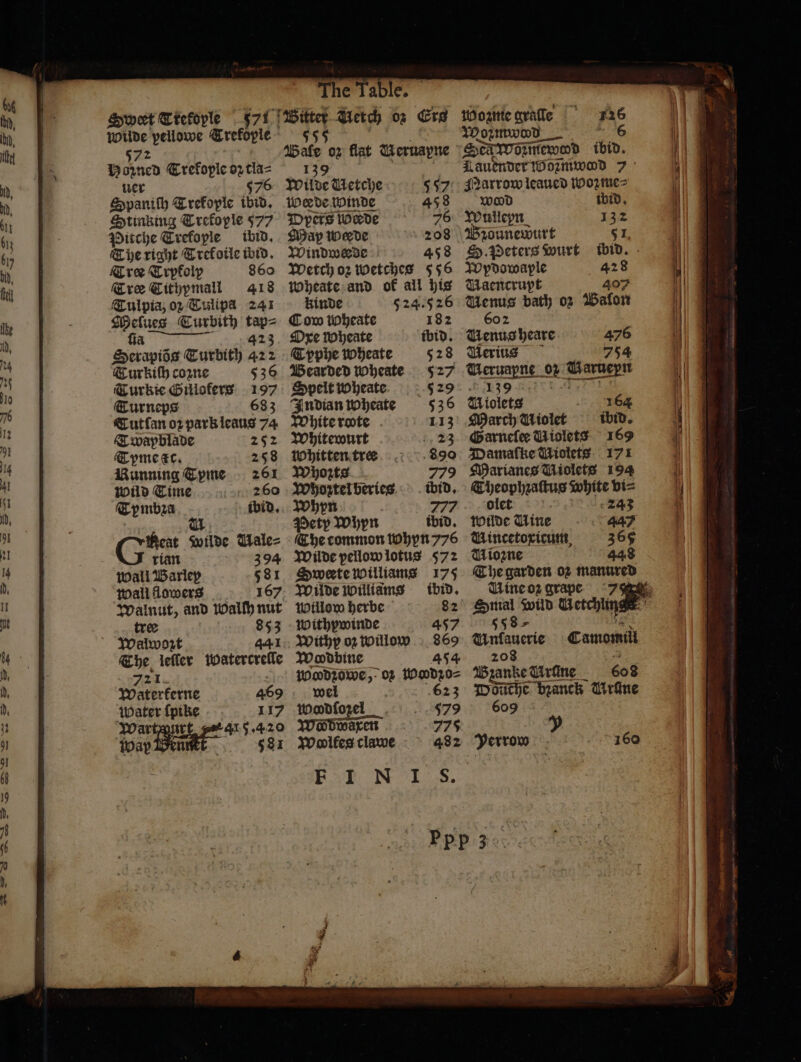 + none Trekopie D Auen Trekople oꝛ tla⸗ wer 576 Spaniſh Trekople ibid. Stinking Trekople 577 Pitche Trefople ibid. The right Trekoile ibid. Tree Trpkolp 860 Tre Tithpmall 418 Tulpia, oz Tulipa 241 SHelues Turbith tap⸗ RRB Serapiõs Turbith 42 8 Turkiſh comme 536 Turkie Gülofers 197 Turneps 683 Cutſan oꝛ park leaus 74 Twapblade 4 i Syme ee. 258 Bunning Œyme 261 Wild Time 260 Œymbza ibid. rian wall Barley Wall flowers 394 581 167 tree 853 Walwoꝛzt 441 The leffer wWatertrelle 9721. Waterferne 469 Water ſpike 117 n e Fe 15 The Table. . Uetch oz Ere 55 Bate 02 flat Meruapne &gt; 139 Wilde Metche Werde winde Dpers Werde Map werde 208 Windwede 458 Wetch oz wetches 556 Wheate and ok all his kinde 524.5 26 Cow woheate 182 Oxe Wheate ibid. Typphe wheate 528 Bearded wheate 527 Spelt wheate 529 Indian wWheate 536 White rote 113 Whitewurt „ 23 Whitten tree 890 Whoꝛts 779 Whoztelberies . tid. Whyn | 777 Pety Whyn ibid. (Œ be common wWhyn 776 Wilde pellow lotus 572 Sweete williams 175 Wilde Williams ibid. Willow herbe 82 Withpwinde 457 Withp oz willow 869 Woodbine 454 Wodzowe, oz Woodzo⸗ wel 623 579 775 432 F 1 N I S. 557 458 76 Capita el Wödwüxen Wolfes clawe Voꝛmwoodd | Sex wormed Fae Lauender Wozmwod 7 Narrow leaned Wozme⸗ wood ibid. Wullepn 132 Bzounewurt SI. O. Peters wurt ibid. Wydowaple 428 Maencrupt 407 Genus bath oz ibafon 602 Venus heare Merius Meruapne ot pees arueyn Miolets March Miolet ibid. Garneſer Miolets 169 Damaſke Miolets 171 Marianes Miolets 194 Theophzaſtus st bi= olet wilde Mine Mincetoxicum, Miozne The garden oꝛ manured V ine oz grape 1 wild de 5587 Ginfaucrie 208 Bzanke drfine 608 Dot dirine 09 164 Camomil Verrow 160