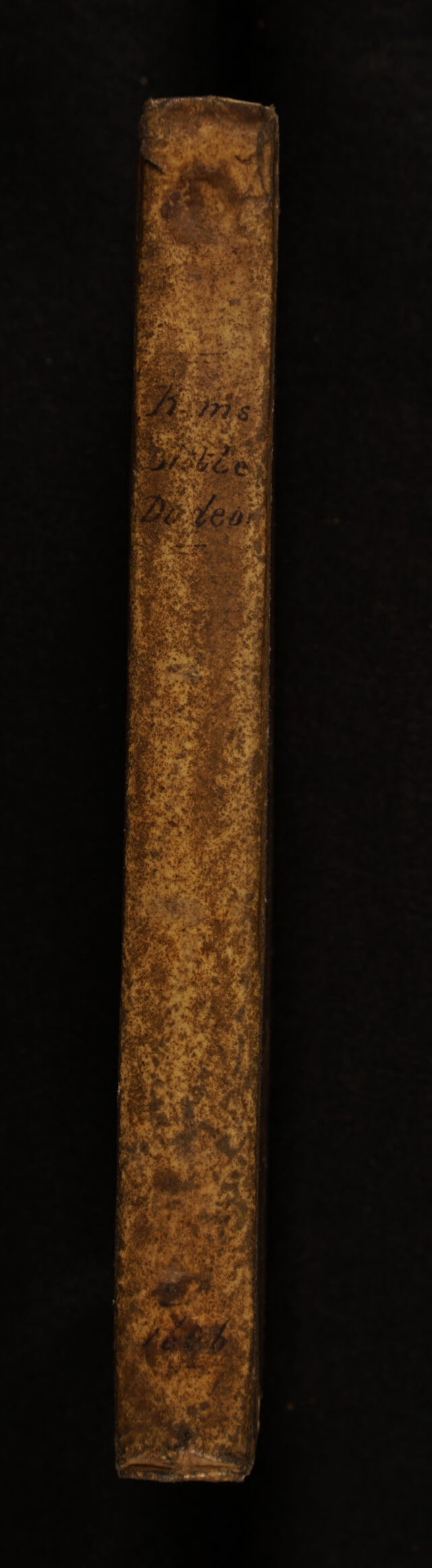 digitised image 2