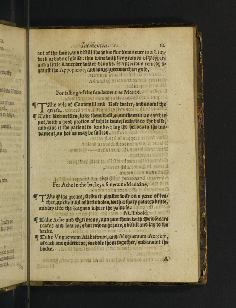 out oft^c fotne.anobtfttU the ferine fine finre0 ouerina %im* berk oj boup of g!a0fe; this twine butt!) ft^e graines of pcppr r, auo a little &atiencertoater twmbe,igapjcctou0 remcOp a# gainft ti)e Appoplexie, anomojepjkcioustfjen goto, .sm:rui< asD’.il'- '- .I ' - f* *> For falling 'ofthe fundament 6r Matrix. * ., 1D0 1iiu*idrai{«i.j *•* ^ nr’^hc orle of Camomill ant> Hofe beater, ano anoint t|e 1 griefe, . ufl istatjffJgrtforUolhmoiiGi v *T STafee &eo nettles ,b;ap t&ern toctl,f puf.f^cm <n^an earfljeit 1 a gooD portion of Ionite twiner feetfee it to tijebalfe, ana giuc it ftte patientto ojinke,i lap t|ie ^erbe^to t^gfan# oajnent,a$ &ot as map be foffreo. ‘ ^ > ** nt ajctn;i.na«si^ni; . ?•& ' • ■ —mtfat os Mi j»,* j if si. ■ <•«?'& V;;n;5f.?c' J5hi V* •;>!^3Djr• OHO* .SJfiSm- ; 3>7it .‘l.-Jt - ' 4,’ ft;4 <|if. 5>&53da3f-d us*wr,A For Ache in the backe, a foueraineMedicine. t •** (J ’»«'» f>r fK ~V $ ’**$* • - f HT£ke pigs greats, ffrtke if plainer teife on a pcecc of lea# A ttjer,pjicke it ful of little boles,tmtb a ttjarp pointco knife, ana lap tt to tbeftapnes torero tlje paine is.  > M*TiboId. t - 4 . * .; % ti* if &ake Ache ano <£grtmcnp, ano pan them Uritb spotofeears roof es ano leaues, % barroboes greaee,* bitiill ano lap to too bacfec. .j ; •• -i• • ! (J ECahe Vnguentum AkbaftrumTanO Vnguentum Aureum, of each one quarferne,meooletkct» together, anb anoint tb e backs, .... .. . • ■ c ai