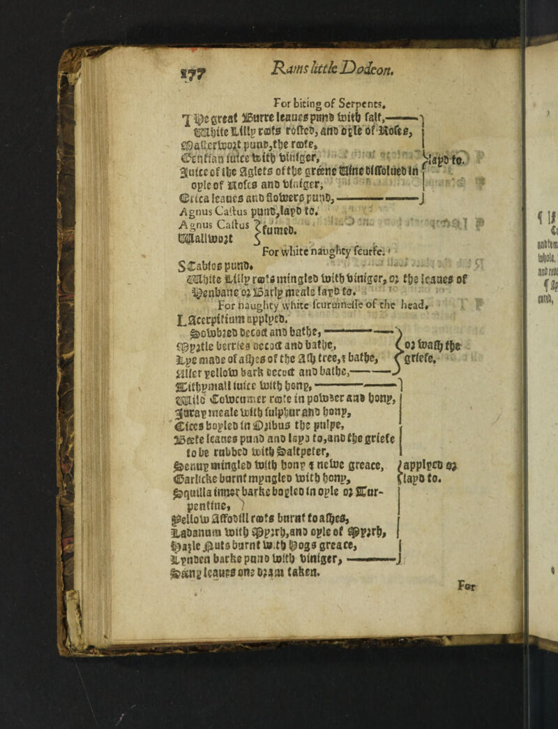 Rums little ID o Jeon, %7? For biting of Serpents* 1 great 315urreleauc$pmi& toitli fait, —■ ©Ebfte ILtUp rajfs roftes, ano ople of Hofeo, QBattcrUmt punp,tbe r©?e, ople of Kofts ano btntgcr, Cues leaucs ano Sotoers panD, ■■■ ■»J /»gnus Callus putlB,lapb to# J SCabtospuno* ©ailbtte fttUprcifimingtso toitbij!'mger,G2 fyz Icauea of henbane o;15arlp meals fapo Co. For naughty white fcuruinetfe of the head# L0cecpiftimiapplpct). decoct ano bathe, ■■■ -—-—\ f^pitle berries Decoct ano bathe, coj fcafy the 3ipe maos of allies of Che afy tree,? bathe, Cgrfefe* 0Ker pelloto barfc eccoct ano bathe,-J SCiftpmall lutcc luttb bonp,--] ®it!o Cotoctmer rate tnpotoBeraa* bonp, 3jarap rneaie urttb fulphur ano &onp, Cfccsbo^leDinaDjtbus tljeptilpe, 2i3eete kaneo puna ano Ispa to, ano fye griefe lobe rnbbcD tottbSaltpeter, m §£elloU) affirofll rm?0 bnrnt f o aOjcs, ILaOannm $PP*r&,ano oplc of t^p;rh, t^ajle #uts burnt tu.tb Ipogs greace, jLpnoen barbepniiotoltb binlger, —■ ■ J ^>«ngleaue0one omi taken.