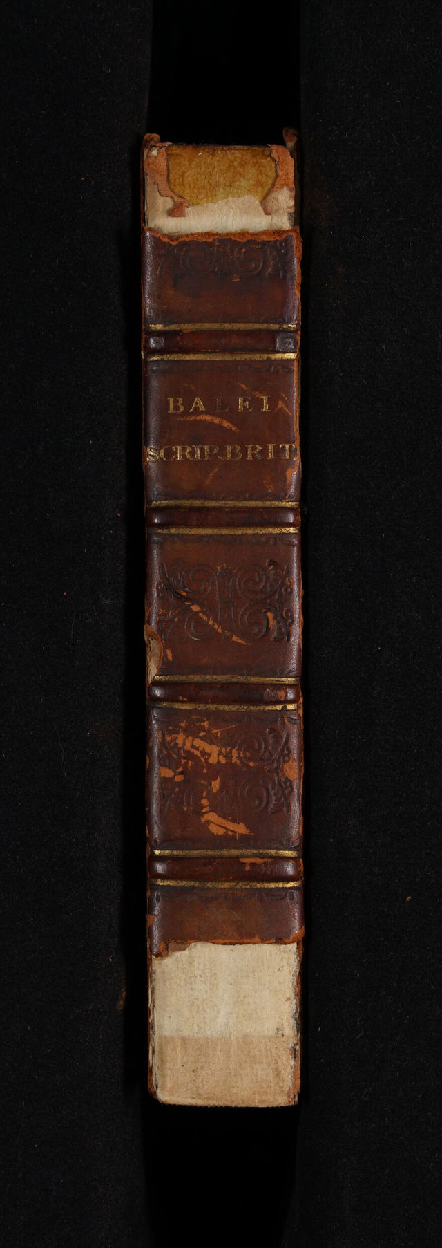 digitised image 2