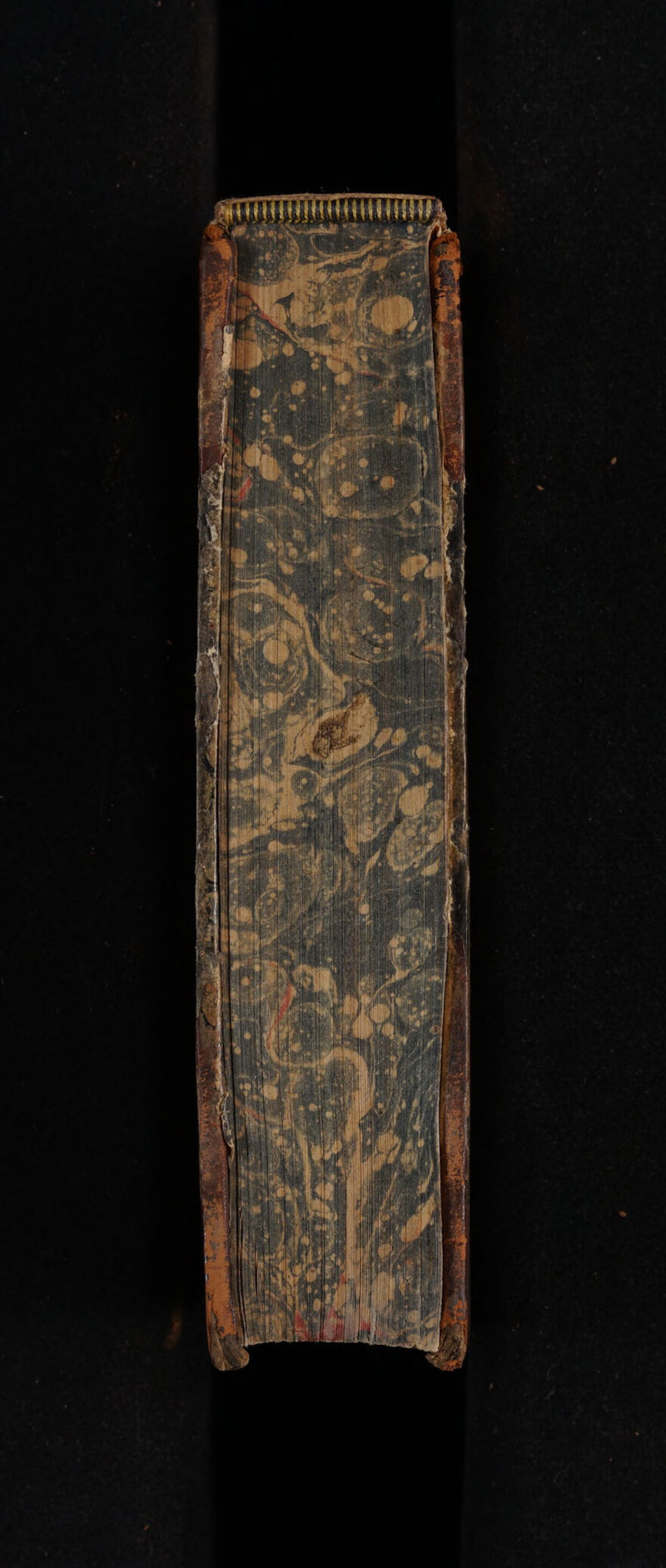 No text description is available for this image