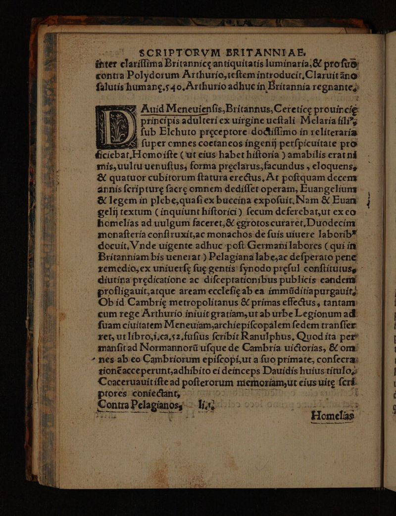 SZ Auid Meneuienfis,B: itánnus,C eretíce prouir cíé: Y principis adulteri ex uirgine ucftali. Melaria fili*g fub Elchuto preceptore doctífimo ín relíteraría xx fuper omnescoctaneos íngeni] petfpicuítate pro lcicbat. Homoifte (ut eíus habet híftoría ) amabilis erat ná gis,uultu uebuftus, forma preclarus,;facundus , eloquenss &amp; quatuor cubitorum ftatura erectus, At poftquam decem. annis fcripture facrc omnem dedíffet operam, Euangeliuns &amp; legem ín plebe,quafiex buccina expofuít,INam &amp; Euam homelias ad uulgum faceret; &amp;€ egrotoscuraret,.Duodecim monaftería conflruxít,aac monachos de fuís uiuere laborib* docuit, Vnde uigente adhuc poft Germani labores ( qui ít Britanniam bis uenerat ) Pelagianalabe,ac defperato pene díutína predicatione ac dífceptatíoníbus publícis eanders profligauit,atque aream ecclefie ab ea immüditiapurgauit; Ob íd Cambrie metropolitanus &amp; prímas effe&amp;us, tantam. cum rege Arthurío íniuít gratíam,ut ab urbe Legíonum adl fuam ciuitatem Meneujiam;archíepifcopalem fedem tranffer manfitad INormannorü ufque de Cambría uictorías, &amp; om: tion£acceperunt;adhíbito ei deinceps Dauídís huíus títulog Coaceruauítiftead pofterorum niemoriamyut eius uite Ícrá ptores coníectant; | ConmaPelganos lu ^0 00 : Pm Aer ' Homelias bes