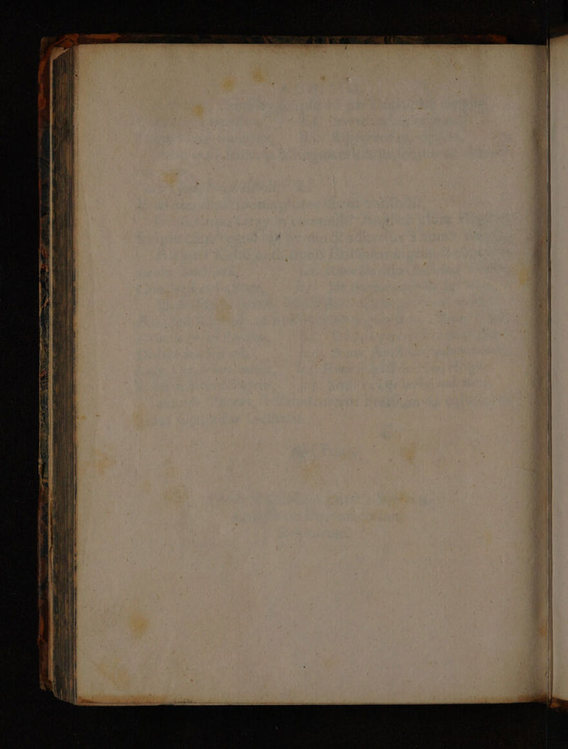 HEC ATTNAS UR NENNT E NET