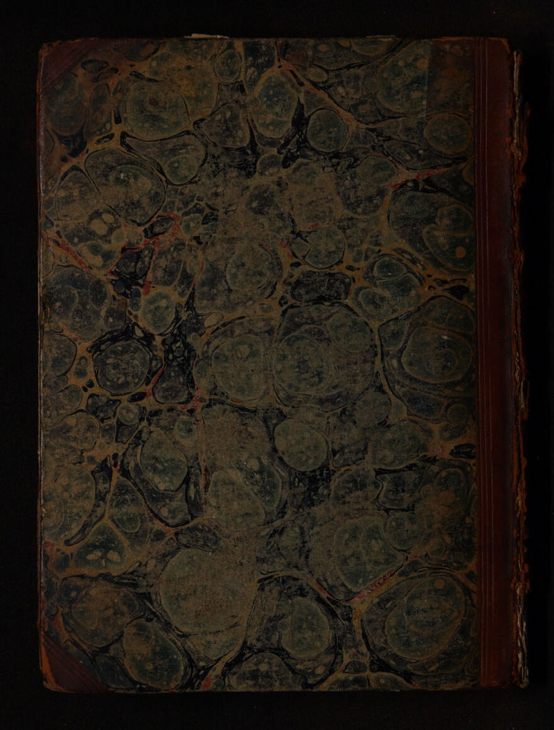 No text description is available for this image