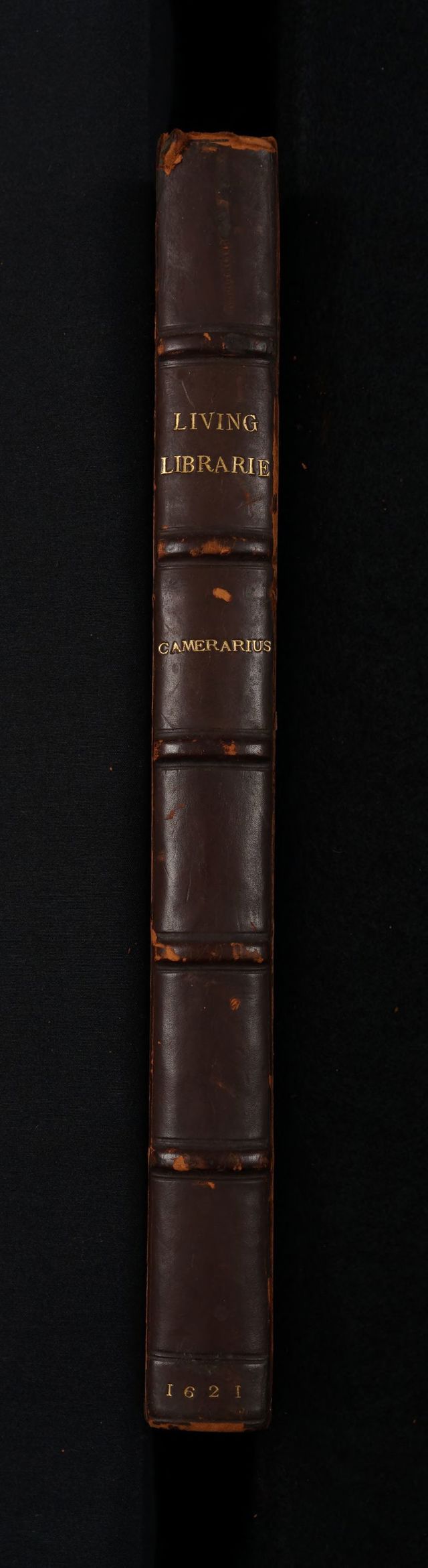 No text description is available for this image