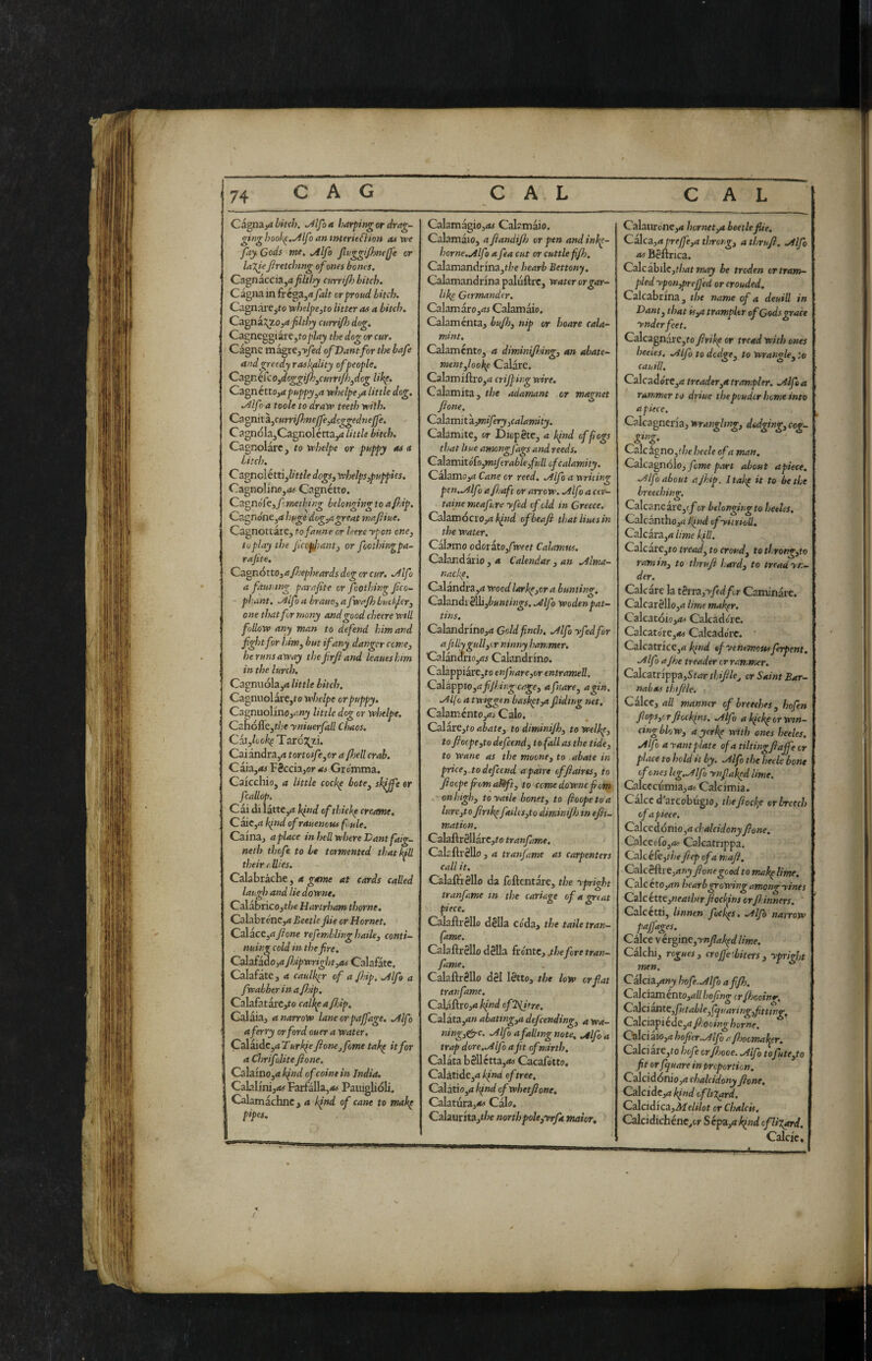Cagmyt hitch. .j4lfoa harpingor drag- ginghool^.^lfoanmteritftion asive fay. Cods me. .4lfo J^t'-ggi/hmelfe or laTie Jlretchmg of ones bones. Cannicciata filthy currijh bitch. Cagna in fr éga34 fait or proud bitch. Cagnàl■e^^o vthelpetto litter as a bitch. Canniamo,a filthy currijh dog. CagneggiarCjio^/rtjy the dog or cur. Cagne minttyyfed ofDantfor the bafe and greedy rask^ity of people. Cann^CcOydoggi/htCurri/htdcg likp. CannéttOyapuppyta vehelpCta little dog. ./^Ifo a toole to dravp teeth yeith. Ca otntitOurrifijnejfetdcgged nejfe. Cagnola,Cagnolctta^ little bitch. Cagnolarc, to rrhelpe or puppy as a bitch. C agnclétti,//«/e dogs, tvhelps,puppies. Cagnolino,Gagnétto. Cagnoie,/ mething belonging to aj}dp. Cagnone,rf huge dog,a great majiiue. Cagnottare, to faune or leereypon one, toplay the Jicc^iant, or foothingpa- rajite. Cannòtto, aJJjepheards dog or cur. .^Ifo a faun mg par a fit e or fcothing fico- pi:ant. .^Ifoa brauo,aJwaJìjbucf^lcr, one that for many and good cheere mil follova any man to defend him and fight for him, but if any danger come, he runs away the firfland leaueshim in the lurch, Ca^nuóla,a little bitch. CagnuolarCjto whelpe or puppy. Cagnuolino,«’.»j little dog or whelpe. C2Ìiófle,t/;e yniuerfall Chaos. Ch.,look^ TaxoTjd. Cai àndrajrt tort oife, or a fljell crab. Caia,as F8ccia,or<> Grc'mma. Caicchio, a little cock^ bote, sldffè or fcallop. ^ Cai (li làttCjfl ì^isid ofthicl^ crearne. Caie,a hindofrauenous fiule, Caina, a place in heR where Lantfaig- neth thoft to Le tormented thatk^R their rllies. Cahhticht, a game at cards called laugh and lie downe. Calabrico,t^e Hartrham thorne. Calabrénc,<* Beetle fiie or Hornet. Calace,aJione refemblinghaile, conti¬ nuing cold in the fire. C3la£^o,afijipwright,as Calafatc. Calafata, a caulkpr of a fidp, ./Ufo a fwahber in a fidp. CaIafatarc,to caliga fidp. Galaia, a narrow lane crpajfage. .Alfo a ferry or ford ouer a water, Ca\^dx.,aTurh^e fionejfome tah^ it for a dirifoUte fi one. Calaino,<t hfiid of coinè in India. Calalini,Farfalla,<*(* Paiiiglitjli. Calanti achne, a Ifnd of cane to makp pipes. Calamagio,/M CalamaitJ. Calamàio, a fiandijh or pen and ini^- horne.Alfo a fea cut or cuttle fifh. Calamandrina,t/;e hearb Bettony. Calamandrinapaluftrc, water orgar- likf Germander. Calamarojrti Calamàio. Calaminta, bufi), nip or hoare cala- mint, Calamcnto, a diminifidng, an abate- mentfiook^e Calàrc. Calamiftro,!* crijping wire. Calamita, the adamant or magnet Jione. Calamit aynifery,calamity. Caiamite, or DiopSte, a hind of fogs ti)at hue among fags and reeds, Calamitofo,»»!/irable,full of calamity. Calamoy? Cane or reed. .Alfo a writing pen. Alfo afi.'aft or arrow. Alfo a ctr- taine meafure yfed cfold in Greece. Calawocvoyih^nd ofbeaji that Hues in the water. Càlamo oòotato,fweet Caìamm. Calandatio , a Calendar, an Alma- nacke. Calandra,rf woodlarhcjor a bunting. Calandi8lli,è«»r/M^^. Alfo wodenpat- tins. Calandrinojtf GoW^w/;. Alfo yfed for afiRygull,cr ninny hammer. Calanatio,as Calandrino. Calappiàre,to enfiare,or entrameli. Calàppio,rt/y/.'ò/^ afnare, agin. Alfe a twiggen baskptyt fiiding net, Calamcnto,^?^ Caio. Calare,to abate, to diminijh, to welhp, tofio(pe,to defeend, to fall as the tide, to Wane as the moone, to abate in price, to defend a pair e of fi air es, to fioepe fiomaUft, to cemedownefiom . ■ on high, to yaile bonet, to ftoope to a lurc,tofirtk^failis,to dimimfij in efii- mation. Calaftr8llarc,to tranfame. Calr.fti‘8llo , a tranfame as carpenters call it, Calaftitèllo da feftentare, the ypright tranfame tn the cariage of a great piece, CalaflrSlIo dèlia Coda^ the taile tran¬ fame. Calaftrèllo dèlia frc'ntc, she fire tran¬ fame. Calafìrèllo dèi lètto, the low or fiat tranfame. Cal4ftro,<i Af’wd of Hitre. Calàta,<i» ahattng,a defeending, a wa- ning,^c. Alfo a falling note. Alfo a trap dorè,Alfo aft of mirth, Calàta bèllctta,(« Cacafo'tto. Ca\.àxiàt,akfnd of tree, CalàtiOjd kfnd of whetfione, CaIatura,A> Càio. Calaurita,t/?e north pole,yrfa mator. Calauroncyt hornet,a beetle fiie. Calca,aprejf,a throng, a thrufi, Alfi as Bèltnca. Calc àhiìc,that may he troden or tram¬ pled ypon,prejJ'ed or crouded. Calcabrina, the name ofi a deuiU in Dant, that is,a trampltr of G^dsgrace ynderfeet. CaIcagnàre,fo firihp or tread with ones heeies, Alfi to dodge, to wrangle, to cauill, Calcadóre,<i treader,a trampler. Alfa rammer to driue thepouder heme into apiece, Calcagneria, wrangling, dodging, ccg- Calcàgno,f/;e/;ee/o of a man, Calcagn(5Io, fime part about apiece, Alfo about afi.'ip. Itak^ it to be the breeching. CalcaneavCyf or btlongingto heeies, Calcanthojrt kind ofyiirioU, Calcara,a lime kill. CaIcare,^o tread, to croud, to tJ}rong,to ramin, to thrufi hard, to tread yn- der. Calcare la thra,yfid fir Caminàre. CaIcarèlIo,rf lime mak^r. Calcatóio,<t4 Calcadore. Calcatorej^K Calcadore. Calcatrice,4 kind of yentmousfirpent. Alfi ajhe treader or rammer. Calcatnppa,Star thi/ile, or Saint Bar¬ nabas tbifile. Caler, all manner of breeches, hofen Jiops,ir Jiockins, Alfi a kfek^ or Win¬ cing blow, ayerkp with ones heeies. Alfi a yam plate of a tiltingfiajfe or place to hold it by. Alfi the hetie bone of ones l(g,Alfi ynfiak^d lime. 01cccumia,<fe Calcimia. Calce d arc obugio, thefiockr or breech of a piece. Calccd(5nio,a chakidony fione. Calceófo,»? Calcatnppa. Calcéfe,r/># fiep of a mafi. Calcèftì Cjrfnjy fione good to makp lime. Calc cto,<r» hearb growing among yines Calc étte,neather fioclfns orfi.inners. Calcetti, linnen fick^s, Alfi narrow paffages. Calce \ èrgine,ynjitakpd lime. Calchi, rogues, crojje'.biters, ypright men. Calcia,!*»^ hofi.Alfi affh. Calciam€nto,all hofing cr fisocinr, Ca\ciantt,f.table,fqtiaring,fitting, CalciapiédCjd fi^ooing home. C^Iciaio,<: hofier.Atfi a finonMÌ^r, Calci are,f0 hefi erfisooe. Alfi tofute,to fit orfijuare in proportion. CaIcid<5nioj<i chakidony fione, Calcidc,a kfnd ofhXard. Ccd.ciAica,Melilot or Chalets. Calcidichénc,tr S cp,<j kfid oflix^d. Calcic. — .. >