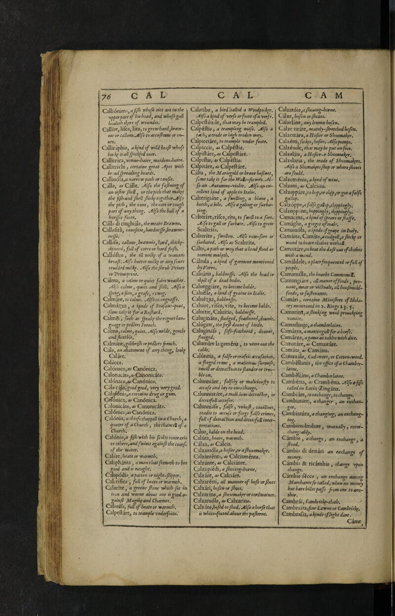 Ollionimii, <*//■» «« an in the ypperpart of htt heady and vohofegall healeth skars of womndes. CalIjre,lifcOj litOj togrowhardybravp- me or callow.Mfo to accttfiome or em~ ure. Callir aphio, a kind of wild beafi whof ? backp ii allJpeck^ed oner. C^itncZyyenus-hairejTnaidens-Jmire. Callitrfchi, certame ^reat .Apes with briadjpreading beards. Calliuóla,rf narrow path or canjte. Callo, Calle. Alfa the fafiningof an oifier /hell y or thepith that mak^s the fi/h and jhell Jiickp together.Aljo the pithy the icone, the core or tough part of any thing. Alfa the ball of a horjjes foote. Callo di cinghiale, the mate Brawne. Callofita, cam/itie, hardne/feyhrawnc- nefj'e. CalloTo, callowj brownie, hflrd, thickp- skfnnedy full of cores or hardjie/h. Calloftro, tl)e ill mdkp of a womans hreaji. Alfo butter milke or any foure crudded milke. Alfo theJhrub Triuet or Vrimeprint. C^ma, a calme or quiet faire weather. Alfa calme , quiet and Jiill. Alfoa jprigy a fen, a graft, i twig. Calmare, to calme. Alfa to engrave. Calma^;^za, a k^nde of Feafant-pout, 'fome take it for a Bu/iard. Calmai, fuch as Jpeakp the rogues lan¬ guage orpedlers French. Calme, calmcj quiet. Alfo mtlde, gentle andjlexible. Ctdmóutygibbrifl) or pedlers fench. Càio, an abatement of any thing, loek^ Calare. Calòcco. Calónaca,-*# Canonica. Calonacàto,<*#Cànonicàto. Calónaco,-^ Canonico. Càio cé^is^goodgood, yery yerygood. Cal^fidnio,<i certame drug or gum, Olonica, OS Canonica. Calonicàto, as Canonicato. CiJónicoj<« Canonico. Calónia, a chiefe chappell in a Church-, a queere of a Church , the chanceU of a Church. Calónio,i* f/h with his fcales contrarie 'to others,andf mms againjì thecourft of the Water. Calore, beate or warmth, Calcphànta, a man that feemeth to bee good and u naught, Calopódio^ a patten or night-flipper. Calc rifico , full of heate or warmth, Calorite , a greene fione which fet in iron and worne about one is good a- gainfl Magikp and Charmes. Calorófo^ full of heate or warmth. Calpeftàre, to trampU ynderfoote. Calotibo, a bird Ualled a Woodpecker. Alfoa kind of yerfe or foote of a yerfe. ~ Calpeftéilslc, that may be trampled. Calpéftio , a trampling noife. Alfo a path, a trade or high troden way, Calpicciare, to trample ynder foote. ! Calpiccio, as Caipcftio. | Calpiftàre, as Calpeftàrc. ,■ i Calpjftio, .IS Calpéftio. Calpitare, as Calpeftàrc. Calta , the Mariegold or braue bafinet, fume take Wate-fiow'/e. Al¬ fo an Autumne-yiolet, Alfo an ex¬ cellent kfnd of apple in Italie. Caltcrigione , a fwelling, a blane, a botch, a bile. Alfoagalinger furba- ting. Calterirc,rifco,rito,fo fwell to a fore. Alfo to gall or furbate. Alfo to grow Scaltrito. Calterito , fwollen. Alfo raw-fore or furhated. Alfo as Scaltrito, Cdito,apath or tray that a land flood or torrent makpth, Càltula, ak^nd of garment mentioned by Farro. Caluària , baldnejfe, Alfo the head or siqsll of a dead bodie, Calueggiàrc, to become balde. CaluSllo, a kind of graine in Italie. Calué:^2a, baldnefje, Caluirc, vifco, viro, to become balde. Caluitic, Caluitio, baldnefje. Czlugmzto, fudged, featheredydounie. Calugine, thefrft doune of birde. Calugino'ib , foft-feathered, dounie, fudged. Calumare la gomena , to yeere out the cable. Calunnia, a folfeorcraftieaccufation, a forged crime , a malicious furmife, cauiU or detraflton to fander or trou¬ ble on. Calunniare, falfely or ntalkioufy to accufe and lay to ones charge, Calunniato're, a maliJous detraflor, or deceitfuU accuferi CalunnioTo , fdfef yniufi, cauillous, readie to accufe or forge falfe crimes, full of detraflion and deceitfuB inter¬ pretations. C^UO, balde on the head. Calura, heate, warmth. Calza, as Càlcia. Calzaiuòlo^* hofier,or afhooemakpr. Calzamento, as Calciaménto. Calzante, as Calciànte. Calzapicdi, a fhooing-lsortse. Calzare, as Calciare. Calzarctti, all manner of hofe orfhoes Calzari, hofen or fhoes. Calzarino, a fhooemakpr or cordwainer. Calzarudlo, as Calzarino. Calz atojtofed orfhod, Alfa a horfe that is white-footed about thepafterns, i Calzatóio,^ flsooing-lmne. Càlze, hofen or ftsooes. Calzelinc, any Itnnm hofen, Càlze tiràtCj neately-fretched hofen. Caìzettàro, a Hofier or Shoemaker, Czlzétti, fotk^s. Isofen. Alfo pumps. Calzéuoic, that may be put on feet. Calzolàio, a Hofier<jr Shoomak^. Calzolaria , the trade of Shoemakers. Alfo a Shomakprsfhop or wisere fhooes are fould. Calzoménio, a kfsd of wine. Calzoni, as Calcio'ni, Calzoppare,to hop,or skfp,crgoe a falfe gallop. Czlzóppo,a falfe gallop yskippingly. Calzopp me, hoppingly, sì^pingly. Camacina, a kjnd offpeare or faffe. Czmii^io, a gorget of male, Camaiuola, ak^ndeofgrape in Italy. Cam aito, CzTSìó.to,acudgell,a ftickp or wand to beate clothes withaB. Camaitarejto heat the dufi out (f clothes with a wand, Camàldolc, a place frequented or full of people. Camamilla, the hearbe CammomiB. Camangiare, aBmancroffoode , pro- . tM»t, meat or yifluals, all houjhould- foode, or fufenance. Camari, certaine Miniflers of Idola¬ try mentioned in i. Kings 2 J. Camarilla, a finking weed prouokping yomite. Czmix\in2p,achamberlaine. Camarra, a martingaUfor a horfe. Camarzo, agame at tables with dice, Camatàre, as Camaitare. Carnato^ *5 Cam aito. Camazalo, Cud-wort, or Cotten-weed. Cambèllania, the ofpceofaChamber- laine, Cambèllàno, a Chamherlaine. Cambetta, as Crzmhcttz. Alfo affh called in Z.4i/>i _'Zingana. Cambiare, to exchange, to change. Cambiatóre., a changer , an exchan- Cambiatura, a changing, an exchang- ing. Cambieuolmente , mutually , enter- s changcably. Cambio , a change , an exchange , a fiead, Cambio di denari an exchange of money. Cambio & ricàmbio , change ypon change, Cambio fecco , an excharge among Marchantsfo called, when no money hut bare bitles paffe fom one to ano- ' ther. Cambrai, Camhrickp-doth. Cambraita,^»o Lawne or Cambrickp. Cambrafia, a kpnde cfli^rt dart. Came y