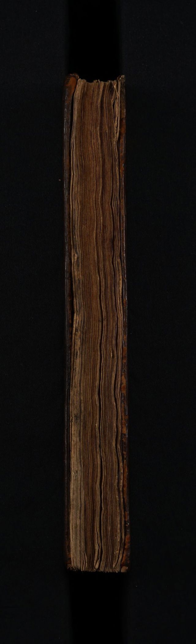 digitised image 3