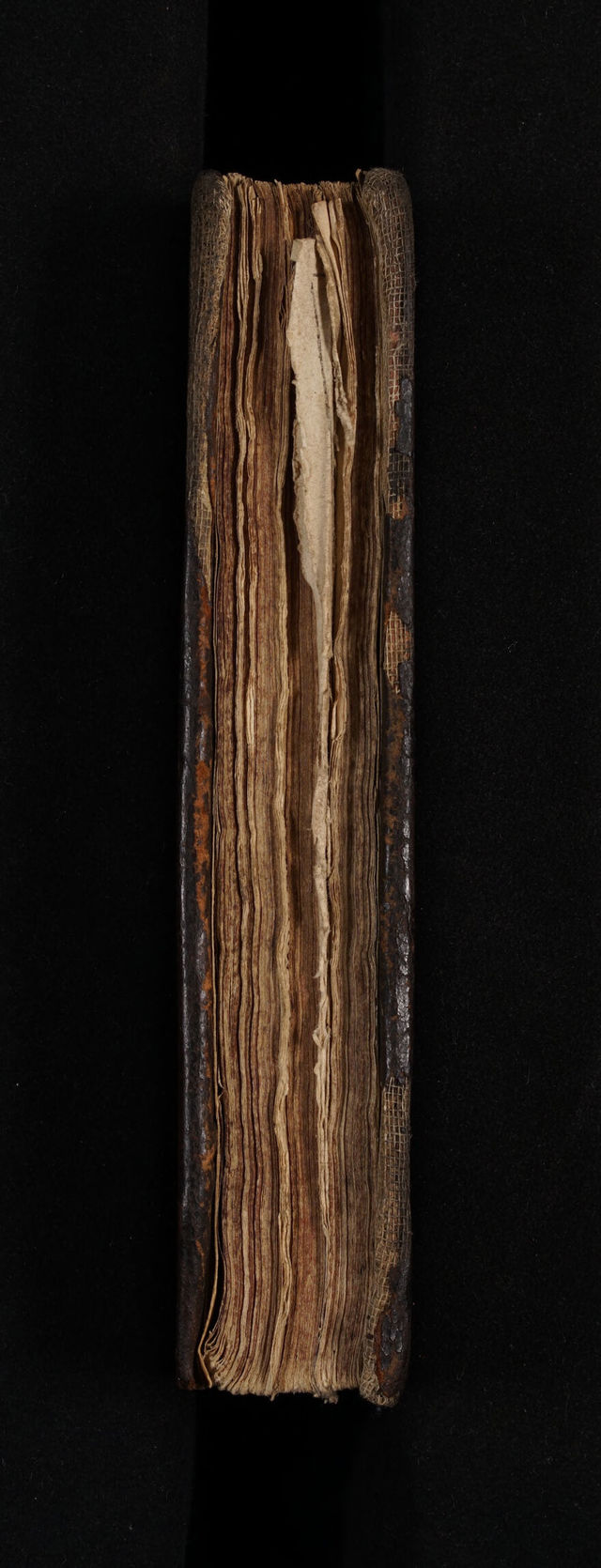 No text description is available for this image