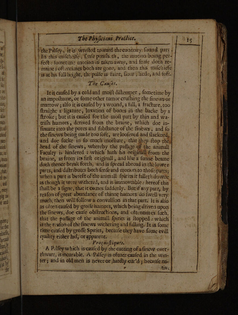ie = ‘ . ‘the Palfey, itis wrelted coward thecoatrary:found part. | i 0] | Tr chis mifchaite }Rnfe perificth, che morion being per- i a, | | fe@ s{ométime motions taken away, and fenfe dozrh re- | tt fb maine : oftentimes borhare gone, and chen chis mifcai¢fe 1 a | | is'ac his full height, the pulfeis faint; lows licde, and fofc. i i) . LAG iin  | The Caufes. a om ~-‘Ttiscaufed by:a coldand moift ditemper , fometime by | a an impoftume, or fome other tumor crufhing the finewsor  ra, marrow ; alfo it iscanfed by a wound, a fall; a fracture, too at ftraighe- a*ligature, luxation of bones in «the Dacke by a ils | ftroke ; but itis caufed for the moft part by thin and wa- wih trifh humors, derived from the braise, which doe in- aot finuate into the pores and fubftance of the finews , and fo phird | | the finews being made too foft, are loofened and flackned, a | and doe fucke in fo much inoi{ture, chat they. ftop the, uted _ | head of the finews, whereby the paflage of the animall i ‘_- Faculty is hindered which hath:his origifall-from: the | trom braine, as from its firft originall , and like a funneé-beame } von) | doth thence break forth, ‘and is fpread abroad in thelower shat parts, and diftribuces-both fen fe and motion.to thofe parts; ‘ie when a pare is bereft of the animal: {pirits ir fallech downe and | | as though it were withered, and is ammoveable: hereof this cy) fhall be a figne, that ic comes faddenly. Batif'any pare, by fig 1) | _| reafon of great abundance of ‘thinne-hamors do fwell very e and \ mach; then will follow a convulfion in that pares 1 is alfo | i. | as often caufed by groile humors, which being driven upon } the finews, doe caufe obftractions, and oftentimes! fuch, f sine that the paflage of the animall fpirits is {topped : which | ithe! isthe reafon of the finews withering and falling. It. is fome dnc, time canted by grofle Spirits, becaufe they have fome evill | : veal quality either hid; orgpparent, : on | , cate Prognoftiques. | ‘a | i Pulley which is‘caufed by che cutting of afmew over |. wals | | thwarc, isincurable. APalfeyisoftner canted. in the wist- abt a ters and in oldimen is neveror hardly curd; becanfe na-