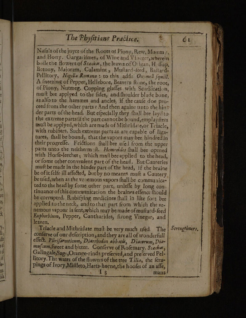 = Ths Phyfitians Practice, ee boilethe flowers of Stechas, the leaves of O: izan, H. flop, Betony, Majoram, Calamine, Muttard-teed, Baitard- Pellitory, Nigela Romana: to this adde Ox;mell (quill, és {neezing of Pepper, Hellebore, Beavers: ftune, the root, of Piony, Nutmeg. Cupping glaffes with Scarilication, mult bee applyed tothe fides, and fhoulder blade bone, ceed from the other parts : And then againe unto the hins der parts of the-head. But efpecially.they (hall bee laydto the extreme partstif the part cannotbe bound,emplayfters their progreffe. Frictions fhall bee ufed from the upper or fome other convenient part of the head. But Cauteries mutt be made in the hinder part of the head, if the braine tedto the head by fome other part, unleffe by long con tinuance ofthis communication the braines effence fhould be corrupted. P.ubifying medicines fhall ia like fort bee | applied totheneck, andtothat part from which the ve- | nemous vapour is fent,which may be made of muftard-feed | Exphorbium, Pepper, Cantharides, firong Vinegar, and leaven, Triacle and Mithridate mult-be very much ufed. The conterye of our defcription, and they are all of wonderfull mufcumfweet and bitter. Conferve of Rofemary. Szecha, Galingale,Sage,Orange-rinds preferved,and preferved Pel- | litory. The water of the fowersof the tree Tiliz, the {cra- | pings of Ivory,Miftleto, Harts-herne,the hoofes of an alle, 4: | 13 mans Strengtbners, |