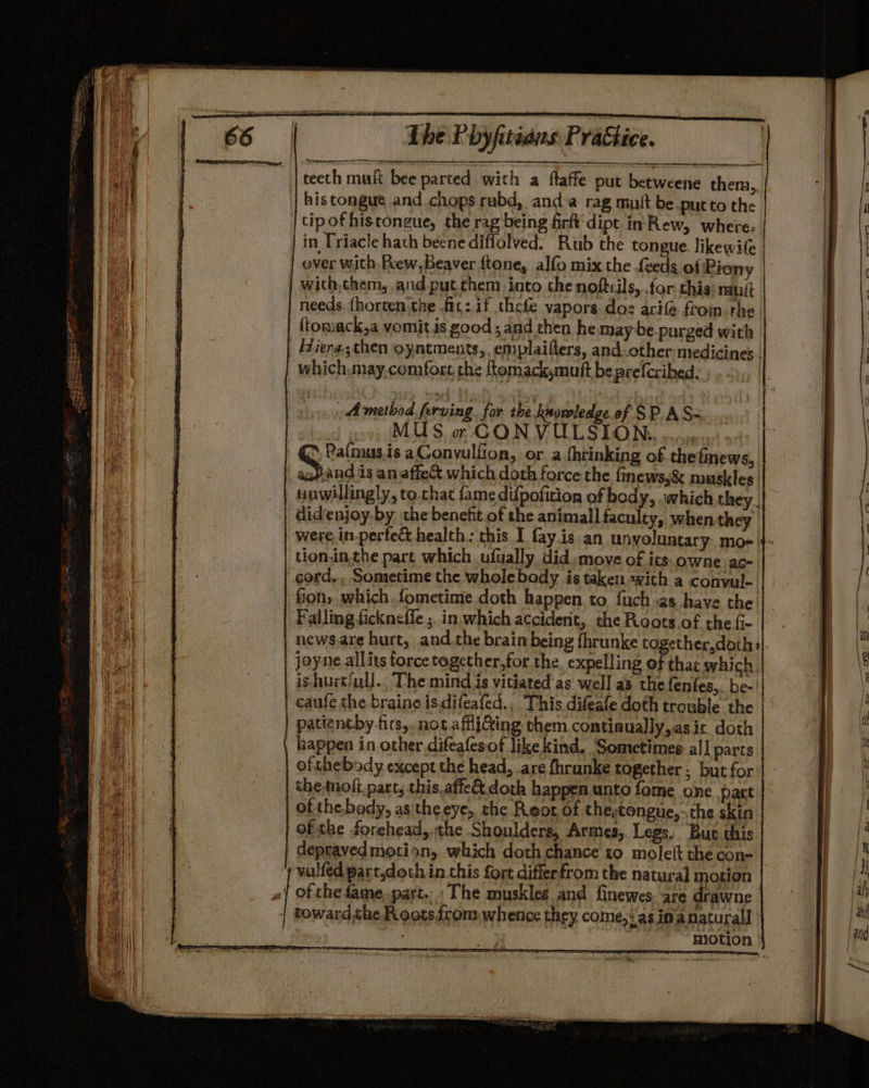 | teeth muft bee parted wich a ftaffe put betweene them, | hiscongue and chops rubd, anda rag mutt be .putto the tipofhistongue, the rag being firft'dipt in Rew, where: in Triacle hath beene diffolved. Rub the tongue. likewife over with. Rew,Beaver ftone, alfo mix the feeds of Piony | with,chem, and put them into the noftcils, for this nauit needs, {horten the fit: if thefe vapors. dos acie from. the ftomack,a vomit.is good ; and then he may be purged with Hera; then oyntments, emplaifters, and_other medicines. Wwhich.may.comfore the ftomacksmuft be prefcribed. A method ferving. for the ksumledge of SP. AS- MUS or CONVULSION. 2s 52 Pafnaus.is aConvulfion, or a fhrinking of thetinews,, pas eh an affe% which doth force the finews,&amp; muskles. unwillingly, to that fame difpoficion of body, .which they | didenjoy.by the benefit of the animall faculty, when they were. in.perte&amp; health: this I fay.is an unyoluntary mo- 4~ tionin.the part which ufually did, move of its: owne ac- cord, , Sometime the whole body is taken with a convul- fon, which .fometime doth happen to fuch vas have the Falling fickneffe ; in which accident, the Roots.of the fi- news.are hurt, and the brain being fhrunke together, doth «|. joyne allits force together,for the. expelling of that which | ishurt/ull.. The mind is vitiated as well a3 the fenfes,,. be- | caufe the braine is.difeafed., This difeafe doth trouble the | patientby firs, not affii@ing them contiaually,asic doth happen in other difeafesof like kind, Sometimes all parts of thebody except the head, are fhrunke together ; but for the moft.part, this affect doth happen unto fome one part of the.body, as the eye, the Reor of theytongue, the skin ofthe forehead, the Shoulders, Armics,. Legs. But this depraved motion, -which doth chance to molett the con- vulfed part.doth in this fort differfrom the natural motion of che fame,.part.. ‘The muskles and finewes. are drawne toward the Rootsfrom whence they come, as inanaturall | ; : motion
