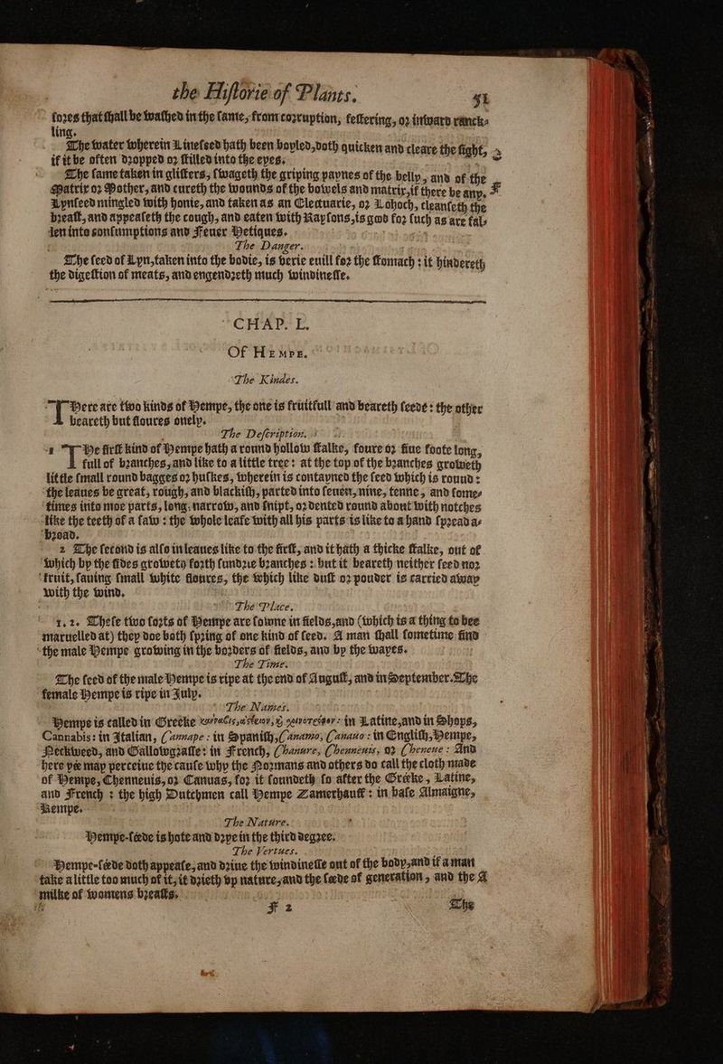 loꝛes that all be waſhed in the lame, from toꝛruption, feffecing, oꝛ intoard ranck⸗ | ling. The water wherein Linefsed hath been bovled,voth quicken and cleare th if it be often dropped o2 filled into the eyes. g Wan fight, à The lame taken in glitters, (wageth the griping pavnes of the belly, and of the Matrix oꝛ Bother, and cureth the wounds of the bowels and matrix, ik there be anp. F Aynleed mingled witz honie, and taken as an Cleauaric, oꝛ 1 ohoch, cleanteth the bꝛeaſt, and appeaſeth the cough, and eaten with Rapfons, is god fo2 (uch as are fab len inte conſumptions and Feuer Hetigues. ö | The Danger. | ; The feed of U yn, taken into the bodie, is verie euill for the Konrach : it hindereth the digeſtion of meats, and engendꝛeth much windinelle. CH Ab. L. Of HE Au RE. The Kindes. pere ate tivo kinds of Hempe, the one is fruitfull and beareth ſeede: the other beareth but floures onelp. i The Defeription. 1 1 “beg firſt kind of Pempe hath a round hollow falke, foure oz fiue foote long, full of bꝛanches, and like to a little tree: at the top of the bꝛanches groweth little (mall round bagges oꝛ bufkes, wherein is contayned the feed which is round: the leanes be great, rough, and blackich, parted into ſeuen, nine, tenne, and fomes times into moe parts, long narrow, and (nipt, oꝛ dented round about with notches | dE the teeth of a fat : the whole leafe with all his parts is like to a hand ſpꝛead as ‘b2oad. 2 The ſetond is alſo in leaues like to the firſt, and it hath a thicke falke, out of which by the fides crowety forth lundꝛie bꝛanches: but it beareth neither feed nor kruit, ſauing fmall white floures, the which line duit oꝛ pouder is carried away with the wind. oh The Place. 1. 2. Theſe two torts of Hempe are lomne in fields and (which is a thing to bee maruelled at) they doe both (pring of one kind of feed. A man all ſometime find “the male Hempe growing in the 1 of fields, and bp the wapes. The Time. The feed of the male Hempe is ripe at the end ol Augull, and in Heptember. The female Hempe is ripe in July. The Names. Hempe is called in Greeke woraCrs,asterr, &amp; goworesger in Latine, and in Shops, Cannabis: in Italian, ( annape: in Spanich, (anamo, (anauo: in Engliſh, Bempe, Neckweed, and Galloworalle: in French, Chanvre, ¶ henneuis, oꝛ (heneue : And here pee map perteiue the caufe why the Poꝛmans and others do call the cloth made of Hempe, Chenneuis, ot Canuas, for it ſoundeth fo after the Greeke, Latine, and French: the high Dutchmen call Pempe Zamerhauff: in bale Almaigne, he Nature. Mempe · ſerde is hate and dꝛpe in the third degree. The Vertues. Pempe-f ede doth appeale, and drive the windinelle ont of the body, and if a man take a little too much of it, it dꝛieth vp nature, and the fede of generation, and the A milke of womens bꝛealts. 5 i