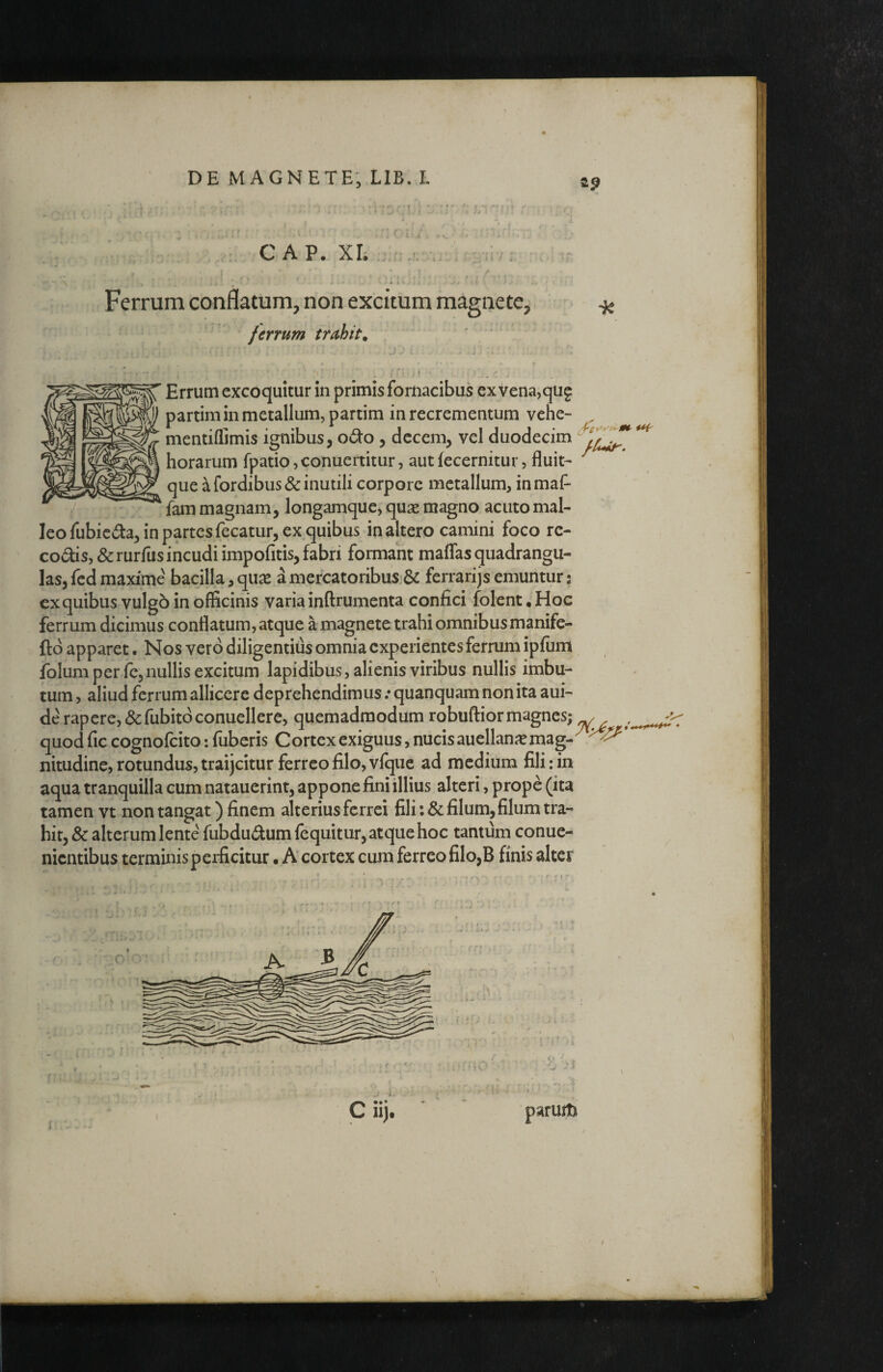 C A P. XL Ferrum conflatum, non excitum magnete, ^ fenum trahite ' Errum excoquitur in primis fornacibus exvena,qU9 partini in metallum, partim in recrementum vehe- mentiffimis ignibus, odo , decem, vel duodecim horarum fpatio, conuertitur, aut fecernitur, fluit-- que ^fordibus& inutili corpore metallum, inmaf* fam magnam, longamque, quse magno acuto mal¬ leo fubicda, in partes fecatur, ex quibus inaltero camini foco rc- codisj&rurfus incudi impofitis, fabri formant maflas quadrangu¬ las, fcd maxime bacilla,quae amercatoribusj& ferrarijsemuntur; ex quibus vulgo in officinis varia inftrumenta confici folent. Hoc ferrum dicimus conflatum, atque a magnete trahi omnibus manife- ftd apparet. Nos vero diligentius omnia experientes ferrum ipfum folum per fe, nullis excitum lapidibus, alienis viribus nullis imbu¬ tum , aliud ferrum allicere deprehendimus / quanquam non ita aui- de rapere, &fubitdconuellere, quemadmodum robuftiormagnes; . , quod fic cognofeito: fuberis Cortex exiguus, nucis auellanicmag- nitudine, rotundus, traijcitur ferreo filo, vfque ad medium fili: in aqua tranquilla cum natauerint, appone fini illius alteri, prope (ita tamen vt non tangat) finem alterius ferrei fili ;& filum, filum tra¬ hit, & alterum lente fubdudum fequitur, atque hoc tantum conue- nientibus terminis perficitur • A cortex cum ferreo filo,B finis alter G A ^ Ciij. paruit; /