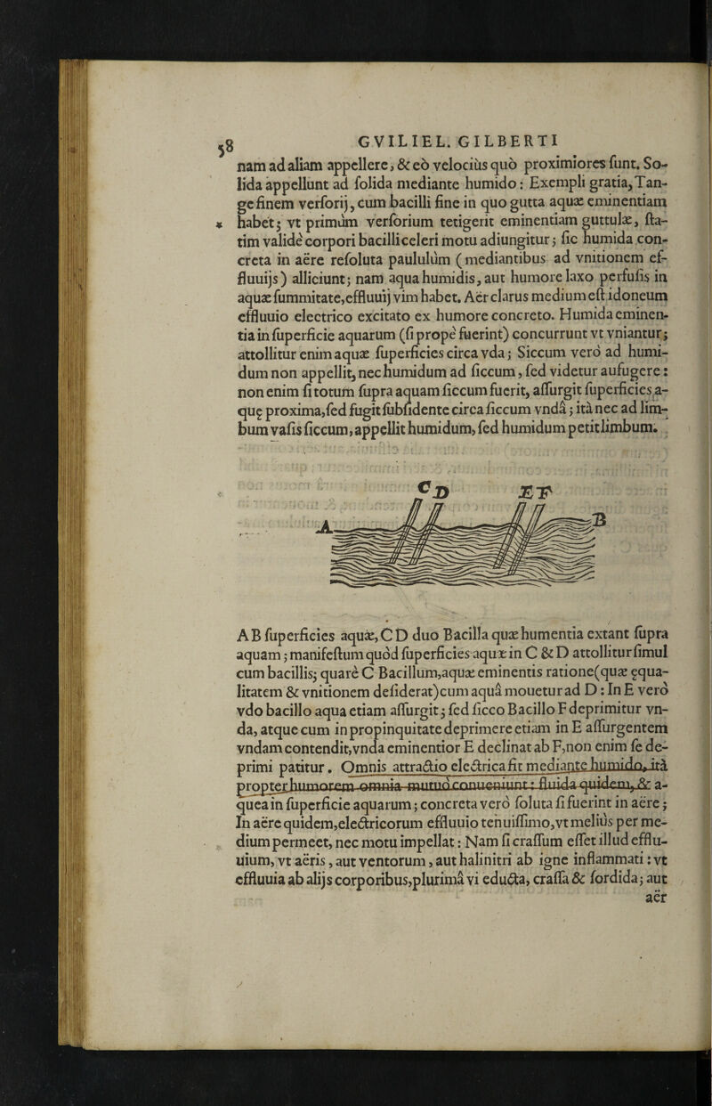 / ^3 GVILIEL. GILBERTI nam ad aliam appellere, & eo velocius quo proximiores funt. So¬ lida appellunt ad folida mediante humido: Exempli gratia,Tan¬ ge finem verforij, cum bacilli fine in quo gutta aqux eminentiam ♦ habetj vt primum verforium tetigerit eminentiam guttulx, fta- tim valide corpori bacilliceleri motu adiungitur j fic humida con¬ creta in aere refoluta paululum ( mediantibus ad vnitionem ef- fluuijs) alliciunt; nam aqua humidis, aut humore laxo perfufis in aquxfummitate,effluuij vim habet. Aer clarus medium eft idoneum effluuio electrico excitato ex humore concreto. Humida eminen¬ tia in fiiperficie aquarum (fi prope fuerint) concurrunt vt vniantur; attollitur enim aquae fuperficies circa vda; Siccum vero ad humi- dumnon appellit,nechumidum ad ficcum,fed videtur aufugere: non enim fi totum fupra aquam ficcum fuerit, affurgit fuperficies,a- qug proxima,fed fugit fiibfidentc circa ficcum vnda; ita nec ad lim¬ bum vafis ficcum, appellit humidum, fed humidum petit limbum. , AB fuperficies aqu;K,CD duo Bacilla quaehumentia extant fupra aquam jraanifeftumquod fuperficies aqux in C & D attollitur fimul cum bacillis; quare C Bacillum,aquai eminentis rarione(qu^ squa¬ litatem & vnitionem deliderat)cum aquS mouetur ad D: In E vero vdo bacillo aqua etiam affurgit; fed ficco Bacillo F dcprimitur vn¬ da, atque cum in propinquitate deprimere etiam in E affurgentem vndam contendit,vnda eminentior E declinat ab F,non enim fe de¬ primi patitur. Omnis attradioeledricafitmedi-^n^^humidn^ omnia a- queain fuperficie aquarum; concreta vero foluta fi fuerint in aere; In acre quidem,eledrieorum effluuio tehuiflimo,vt melius per me- ^ dium permeet, nec motu impellat: Nam fi craffum effet illud efflu- uium, vt aeris, aut ventorum, aut halinitri ab igne inflammati; vt effluuia ab alijs corporibus,plurimi vi edu(3:a, craffa 5c fordida; aut aer