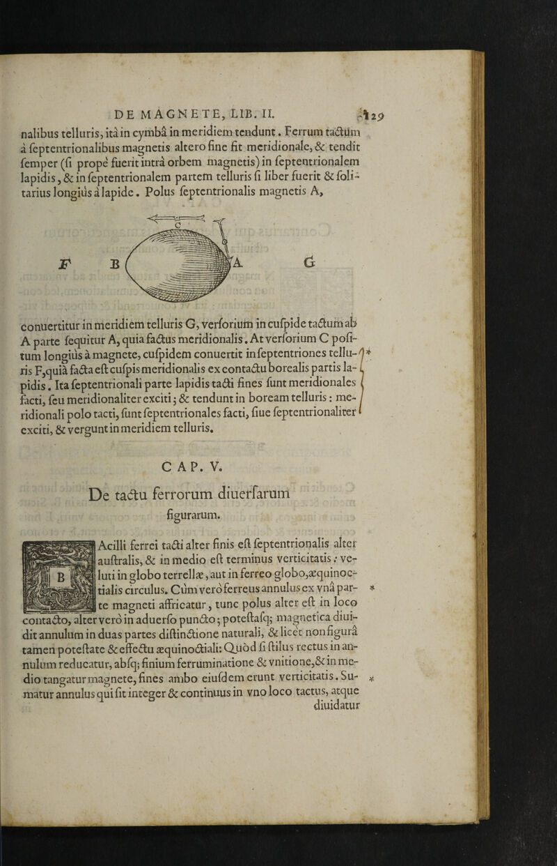 naiibus telluris, itain cymba in meridiem tendunt. Ferrum tadUm a feptentrionalibus magnetis altero fine fit meridionale, & tendit femper(fi prope fuerit intra orbem magnetis) in fcptentrionalem lapidis, & infeptentrionalem partem telluris fi liberfuerit&foli- tarius longius a lapide. Polus feptentrionalis magnetis A, \ conuertitur in meridiem telluris G, verforium in cufpide taflum ab A parte fequitur A, quia faeStus meridionalis. At verforium C pofi- tum longius a magnete, cufpidem conuertit infeptentriones tellu-'!^ ris Fjquiafa^taeftcufpis meridionalis excontaduborealis partis la- L pidis. Ita feptentrionali parte lapidis ta6fi fines funt meridionales / facti, feu meridionaliter exciti 5 & tendunt in boream telluris: me- / ridionali polo tacti, funt feptentrionales facti, fiue feptentrionaliter I exciti, & vergunt in meridiem telluris. C AP. V. De tadtu ferrorum diuerrarum figurarum. Acilii ferrei ta^i alter finis efi feptentrionalis alter auftralis, Sc in medio eft terminus verticitatis; ve- luti in globo terrellse, aut in ferreo globo,aequinoc¬ tialis circulus. Cum vero ferreus annulus ex vnS par- _ - ^,te magneti affricatur, tunc polus alter eft in loco contado, alter vero in aduerfb pundo ^ poteftafq; magnctica diui- dit annulum in duas partes diftindione naturali, & licet non figura tamen poteftate & effectu aequinoctiali; Quod fi ftilus rectus in an¬ nulum reducatur, abfq; finium ferruminatione 8c vnitione5&in me¬ dio tangatur magnete, fines ambo eiufdem erunt verticitatis. Su¬ matur annulus qui fit integer Sc continuus in vno loco tactus, atque diuidatur 4.