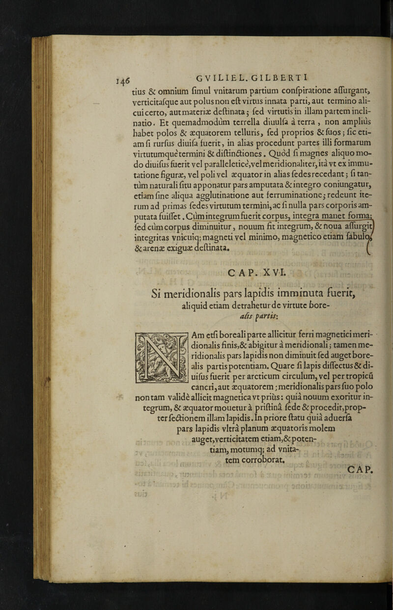 tius & omnium fimul vnitarum partium confpiratione aflurgant, verticitafquc aut polus non eft virtus innata parti, aut termino ali¬ cui certo, aut matcrix deftinata 5 fed virtutis in illam partem incli¬ natio. Et quemadmodum tcrrella diuulfa a terra , non amplius habet polos & aequatorem telluris, fed proprios ^Tuos; fic eti¬ am fi rurfus diuifa fuerit, in alias procedunt partes illi formarum virtutumque termini &difl:in(5tiones, Quod fi magnes aliquo mo¬ do diuifus fuerit vel paralleletice',velmeridionaliter,ita vt ex immu¬ tatione figurse, vel poli vel aequator in alias fedes recedant j fi tan¬ tum naturali fitu apponatur pars amputata & integro coniungatur, etiam fine aliqua agglutinatione aut ferruminatione^ redeunt ite¬ rum ad primas fedes virtutum termini, ac fi nulla pars corporis am¬ putata fuilfet. Cum integrum fuerit corpus, integra manet forma.: fed cum corpus diminuitur, nouum fit integrum, & npua affurgitj integritas vnicuiq; magneti vel minimo, magnctico etiam fabuh & arense exigua: deftinata. CAP. XVL Si meridionalis pars lapidis imminuta fuerit, aliquid etiam detraheturde virtute bore- . alis fartis: Am etfiboreali parte allicitur ferri magnetici meri¬ dionalis finis,& abigitur d meridionali j tamen me¬ ridionalis pars lapidis non diminuit fed auget bore- alis partis potentiam. Quare fi lapis diffectus & di¬ uifus fuerit perarcticum circulum, vel pertropicu cancri,aut asquatorem; meridionalis pars fuo polo iK)n tam valide allicit magnetica vt prius: quia nouum exoritur in¬ tegrum, & aequator mouetur a priftind fede&procedit,prop¬ ter fedionem illam lapidis. In priore flatu quia aduerfa pars lapidis vltrd planum aequatoris molem auget,verticitatem etiam,& poten¬ tiam, motumq; ad vnita- tem corroborat. CAP.