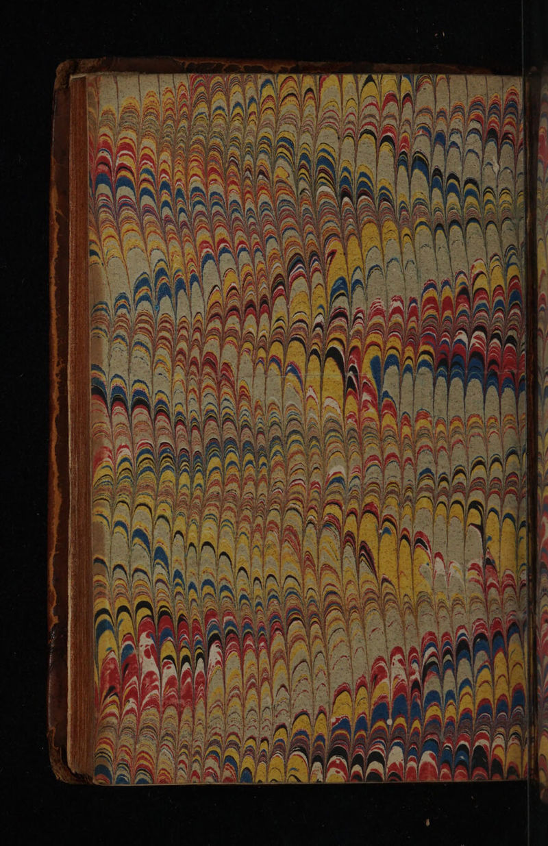 No text description is available for this image