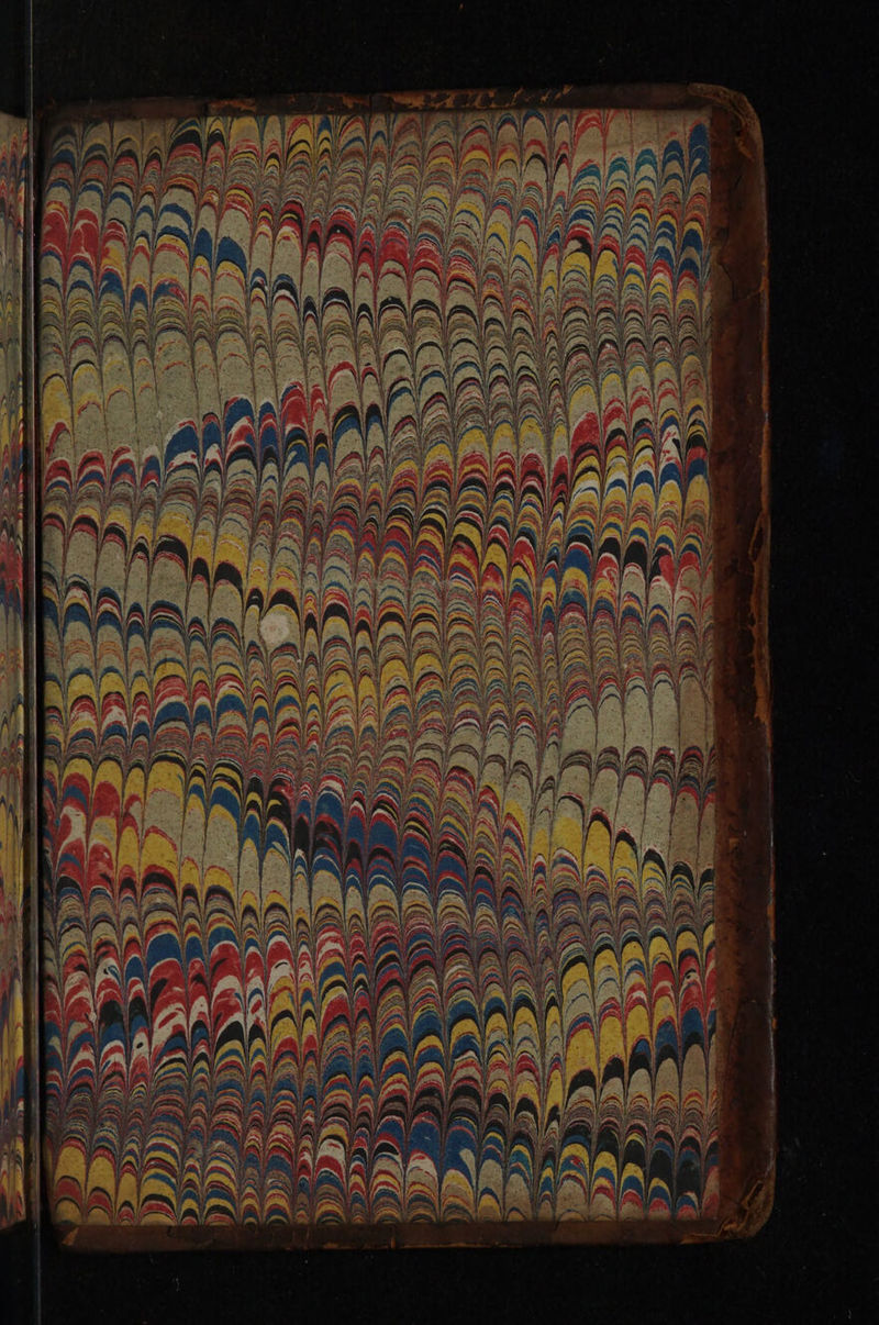 No text description is available for this image