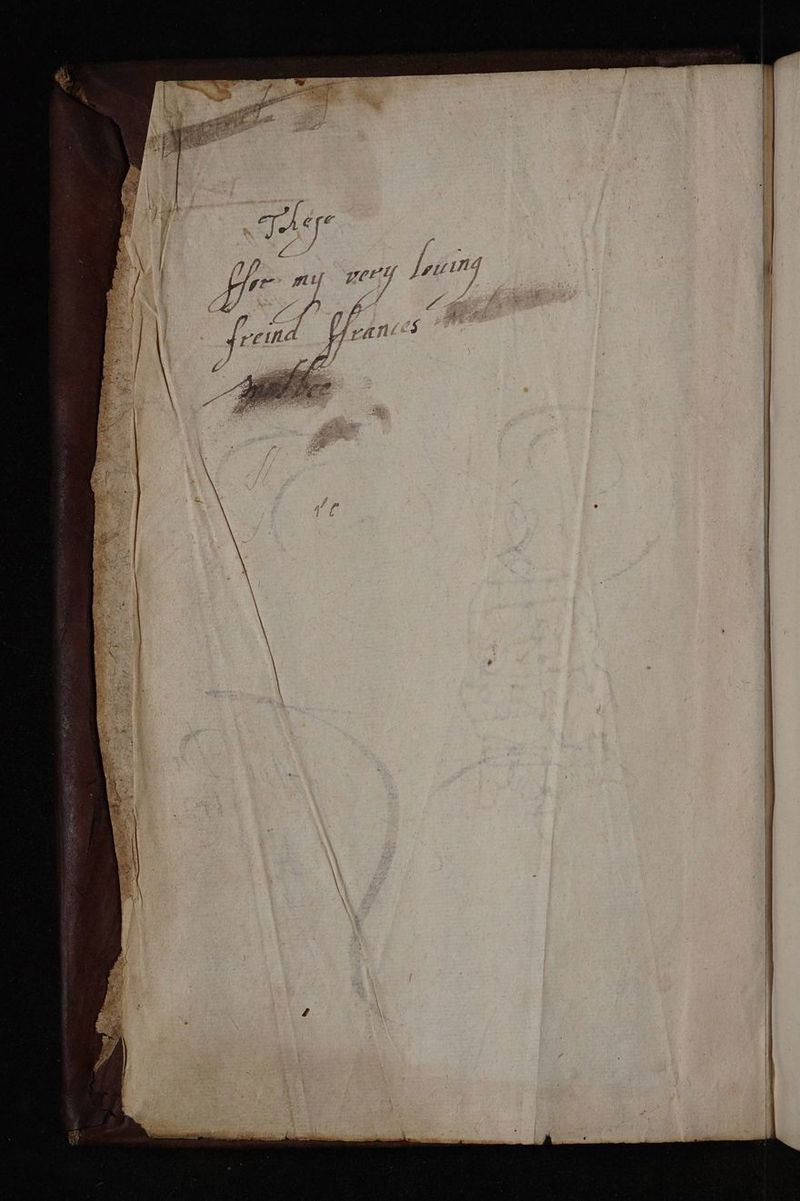 No text description is available for this image